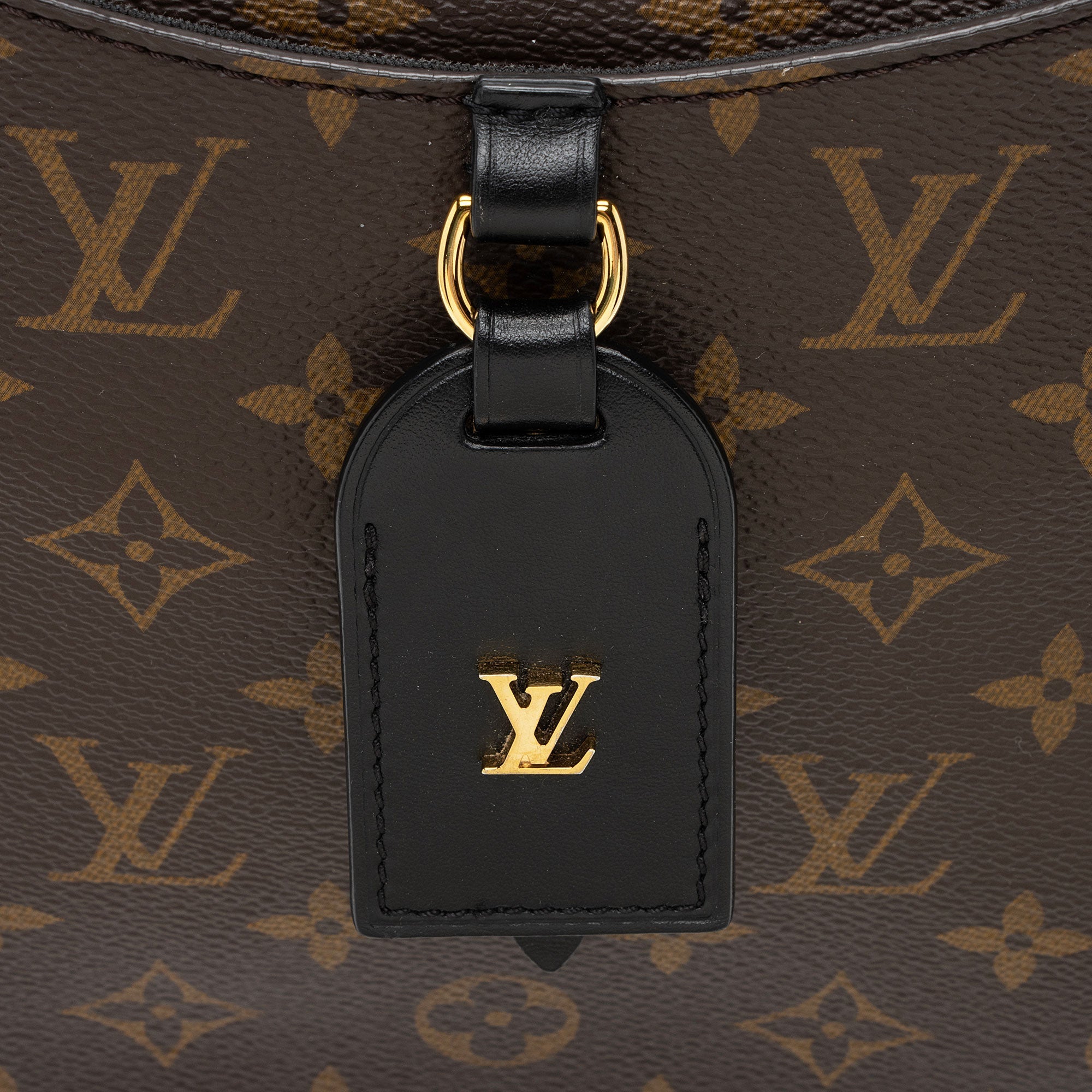 Louis Vuitton Monogram Canvas Odeon MM NM Shoulder Bag