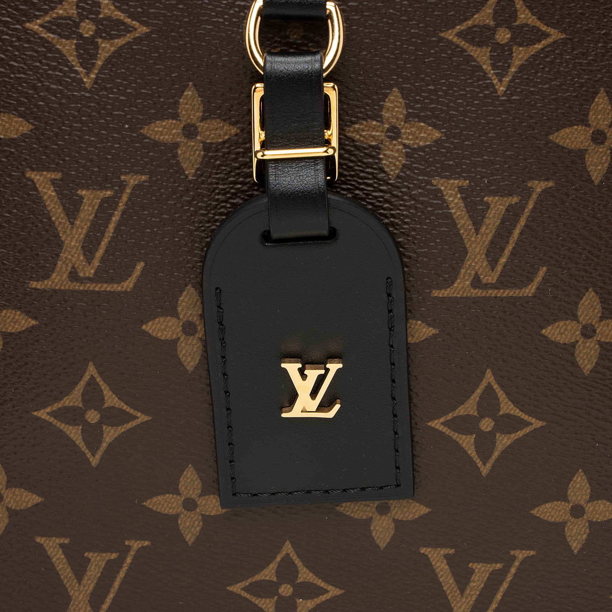 Louis Vuitton Monogram Canvas Odeon PM NM Shoulder Bag