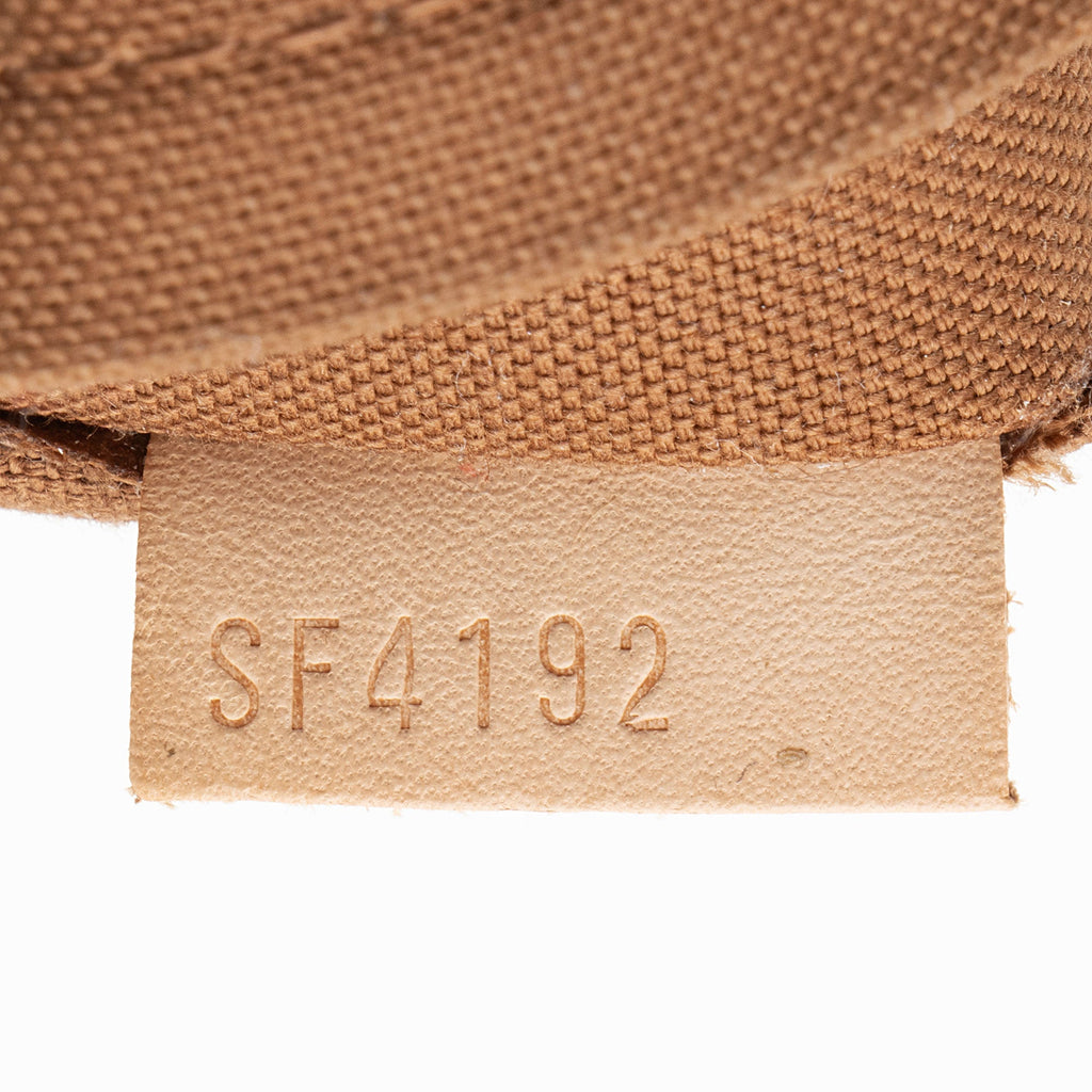 Louis Vuitton Monogram Canvas Odeon PM Shoulder Bag
