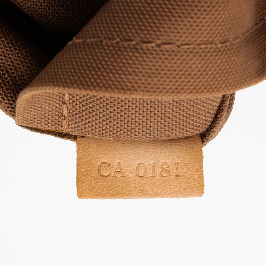 Louis Vuitton Monogram Canvas Odeon PM Shoulder Bag