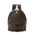 Louis Vuitton Monogram Canvas Palm Springs MM Backpack - FINAL SALE (SHF-20662)