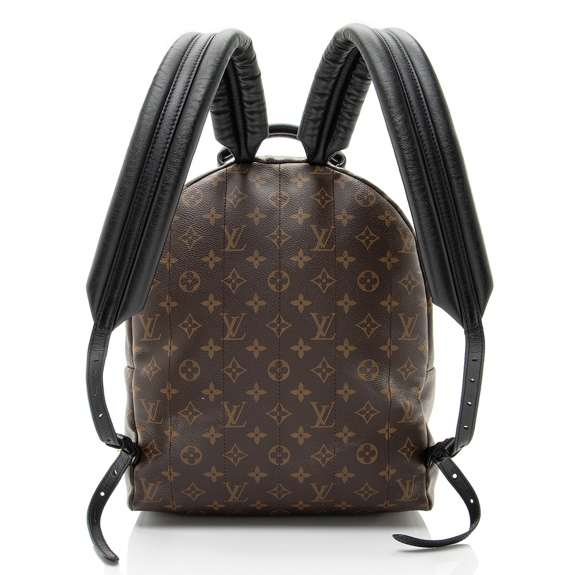 Louis Vuitton Monogram Canvas Palm Springs MM Backpack