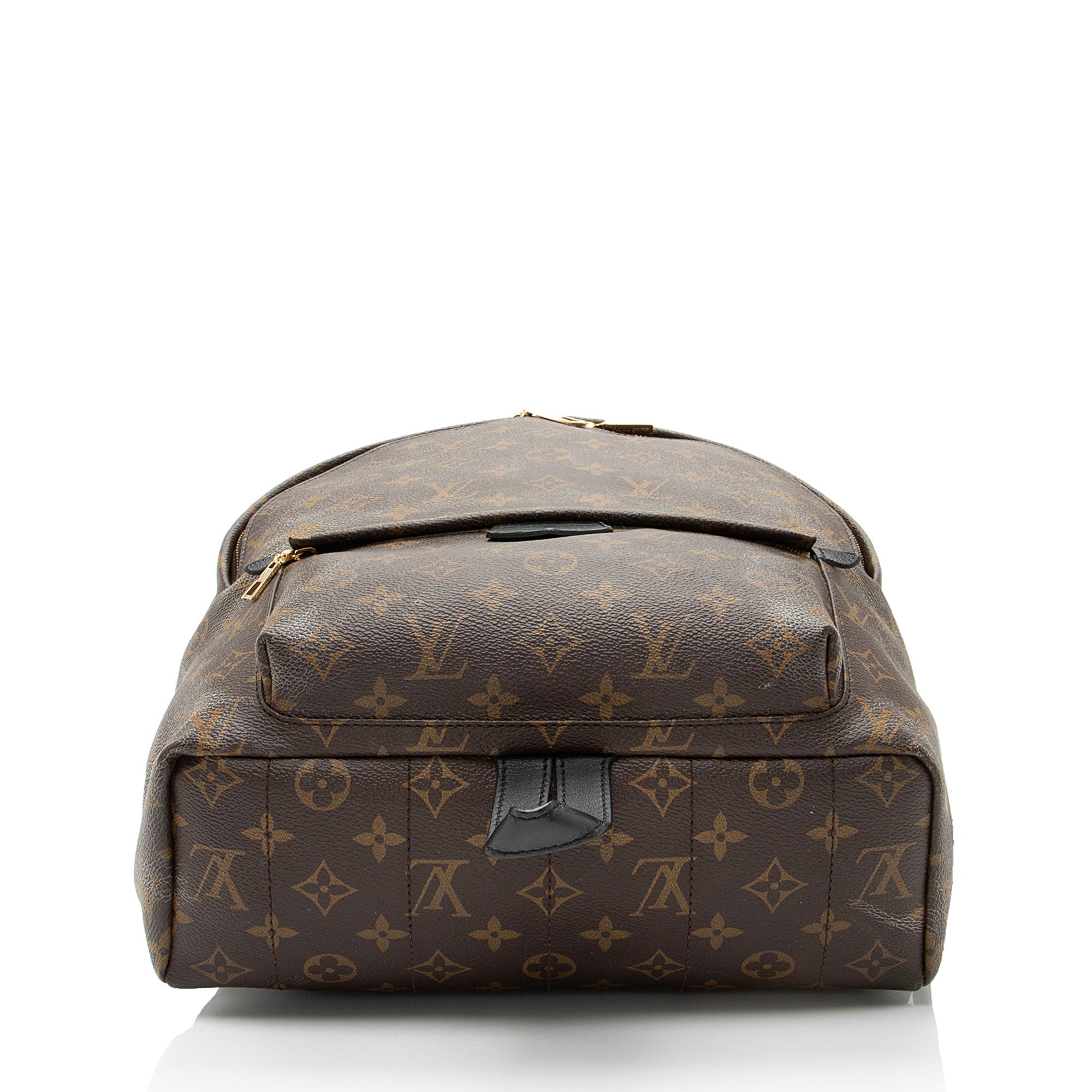 Louis Vuitton Monogram Canvas Palm Springs MM Backpack