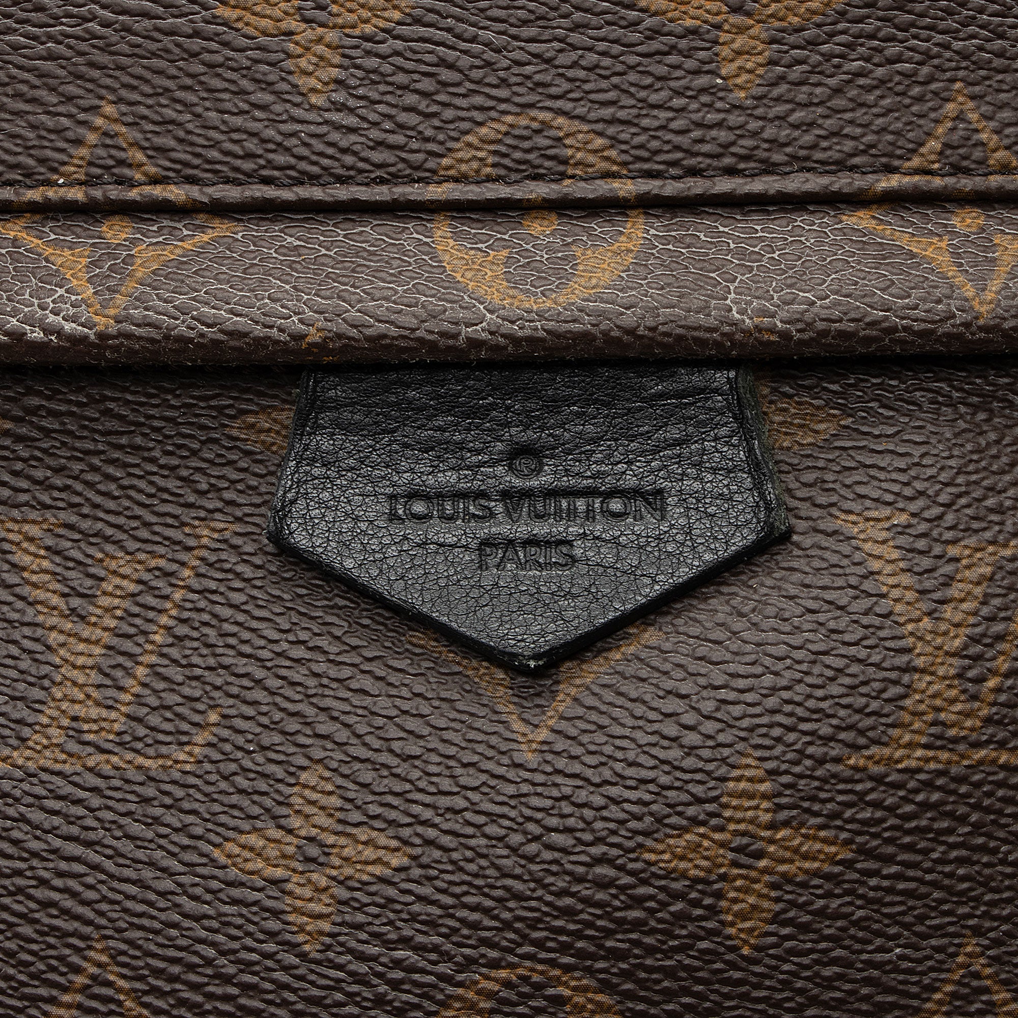 Louis Vuitton Monogram Canvas Palm Springs MM Backpack