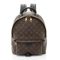 Louis Vuitton Monogram Canvas Palm Springs MM Backpack