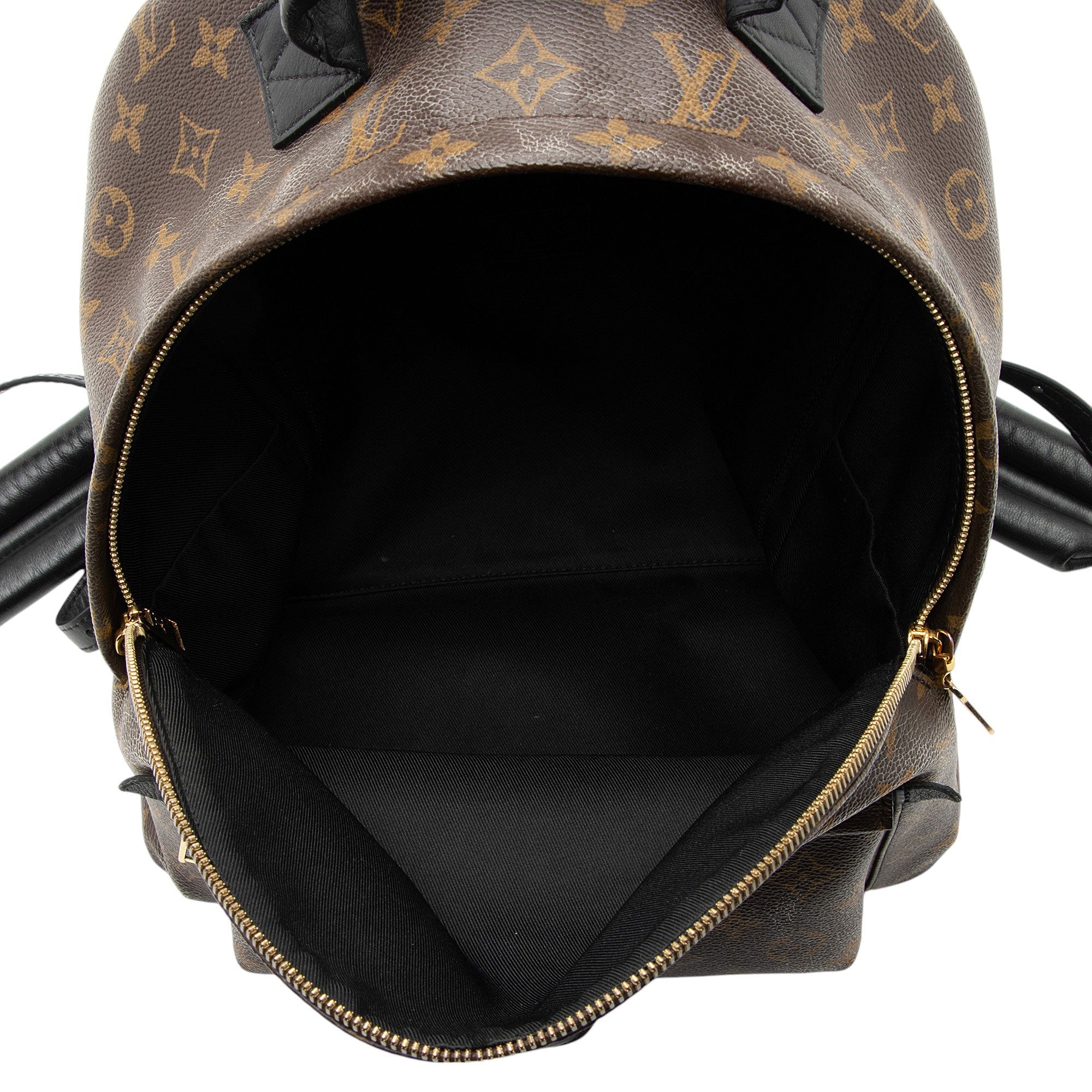 Louis Vuitton Monogram Canvas Palm Springs MM Backpack