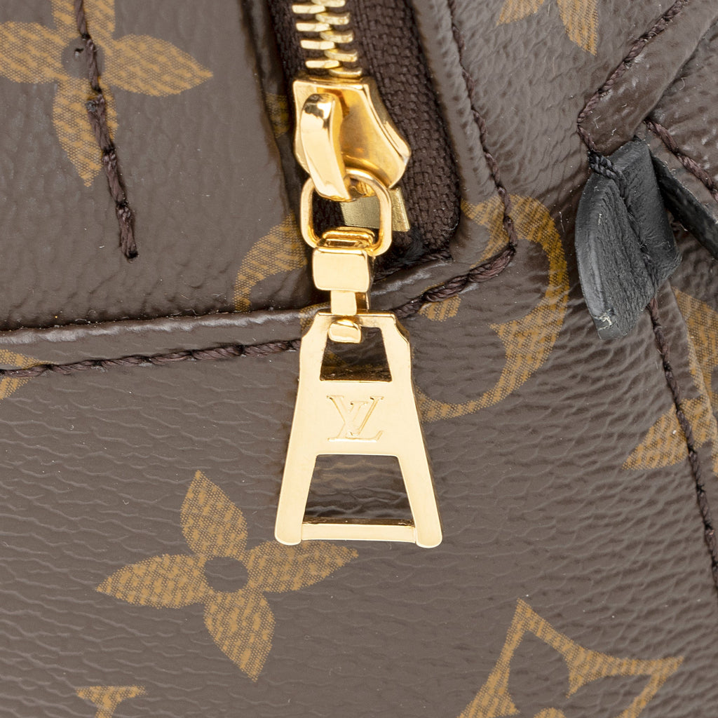 Louis Vuitton Monogram Canvas Palm Springs Mini Backpack (SHF-22308)