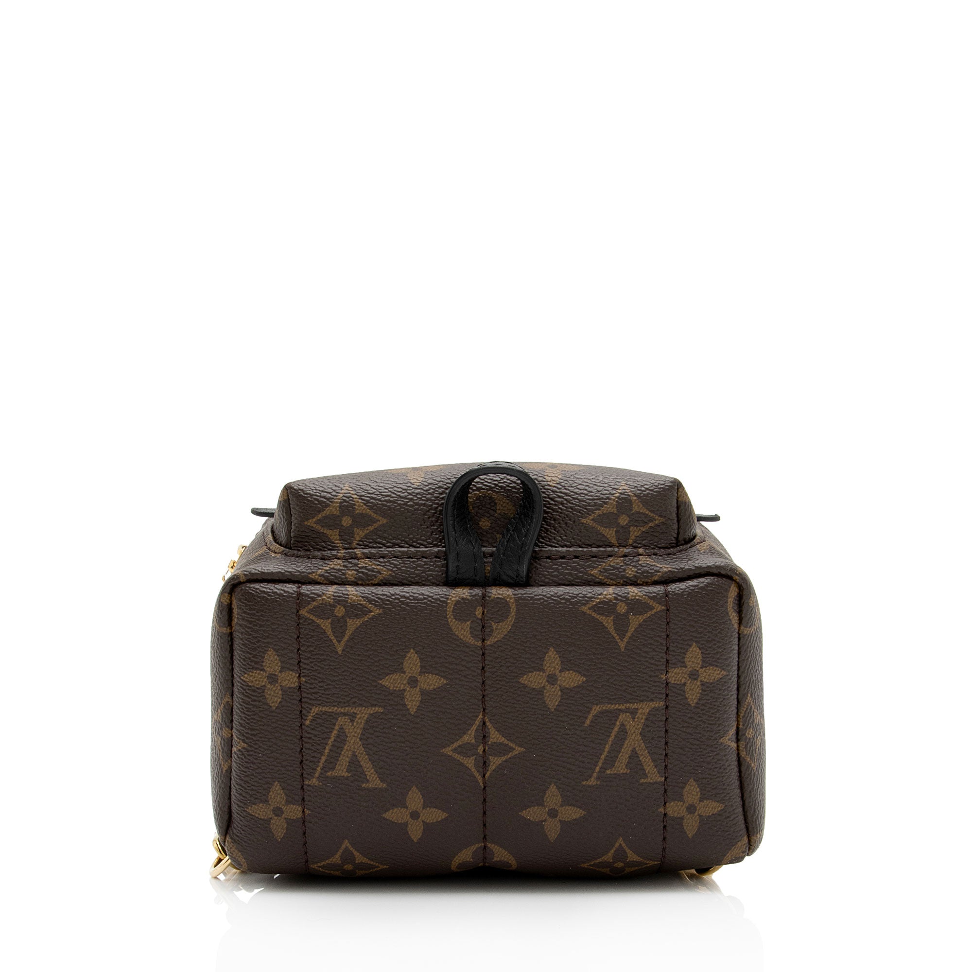 Louis Vuitton Monogram Canvas Palm Springs Mini Backpack (SHF-dPbIO8)