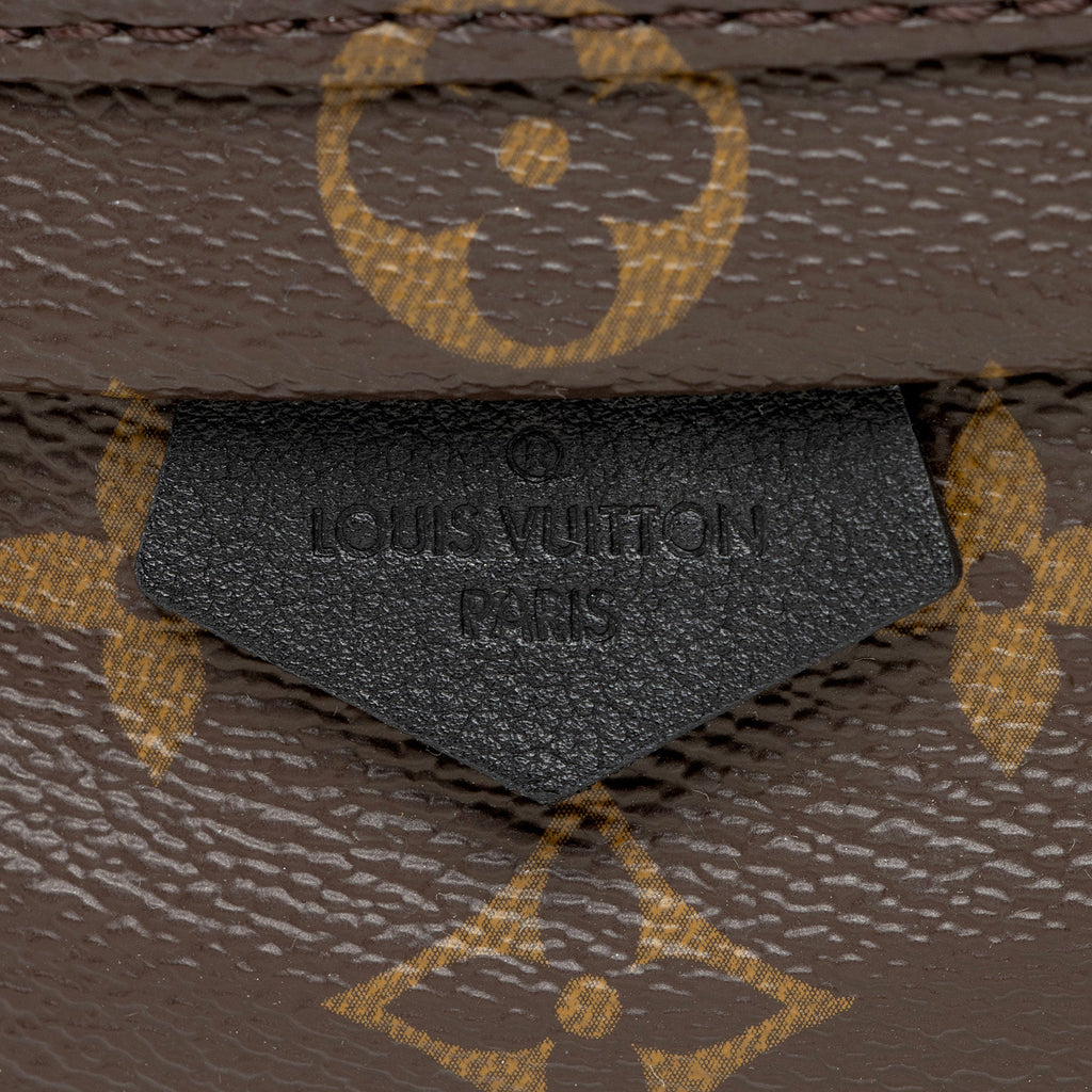 Louis Vuitton Monogram Canvas Palm Springs Mini Backpack (SHF-ZsatYA)