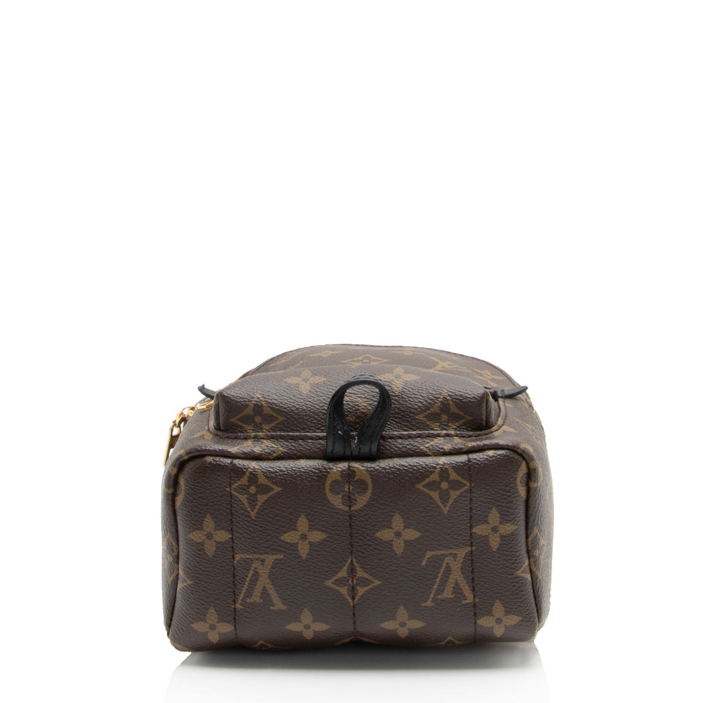 Louis Vuitton Monogram Canvas Palm Springs Mini Backpack