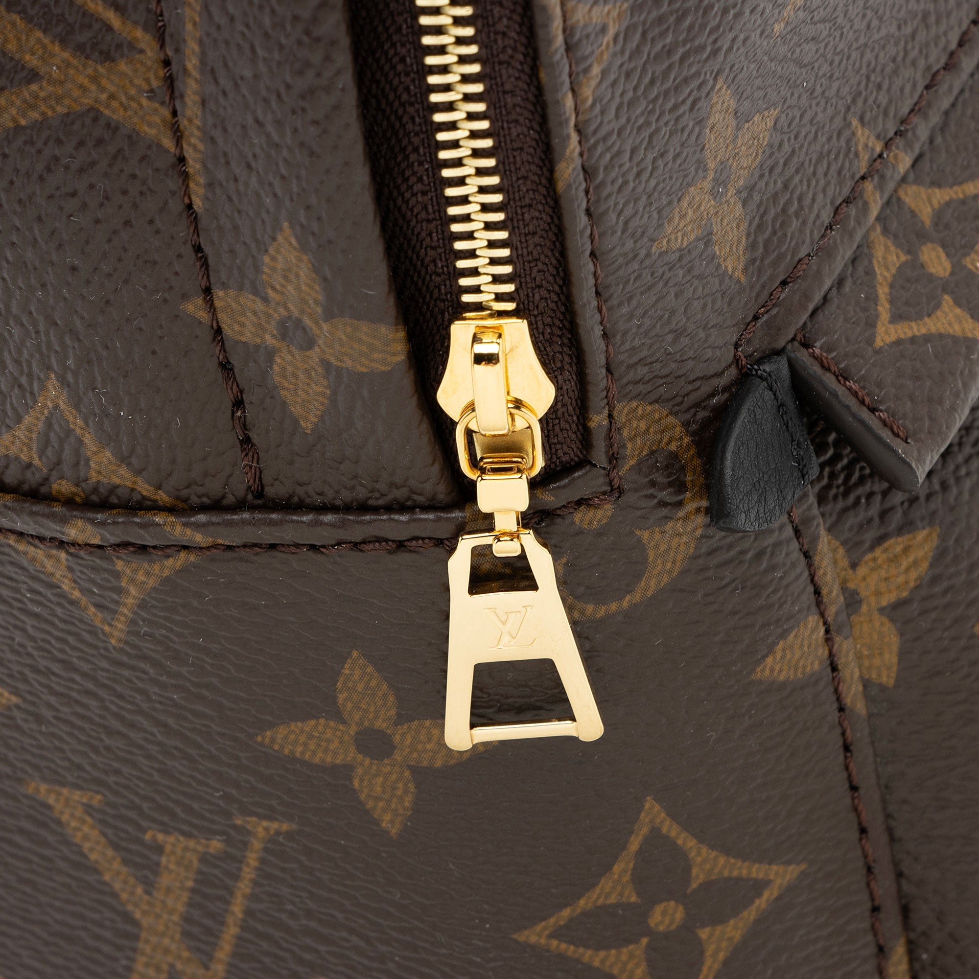 Louis Vuitton Monogram Canvas Palm Springs Mini Backpack (SHF-gAOHZi)