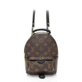 Louis Vuitton Monogram Canvas Palm Springs Mini Backpack (SHF-gAOHZi)