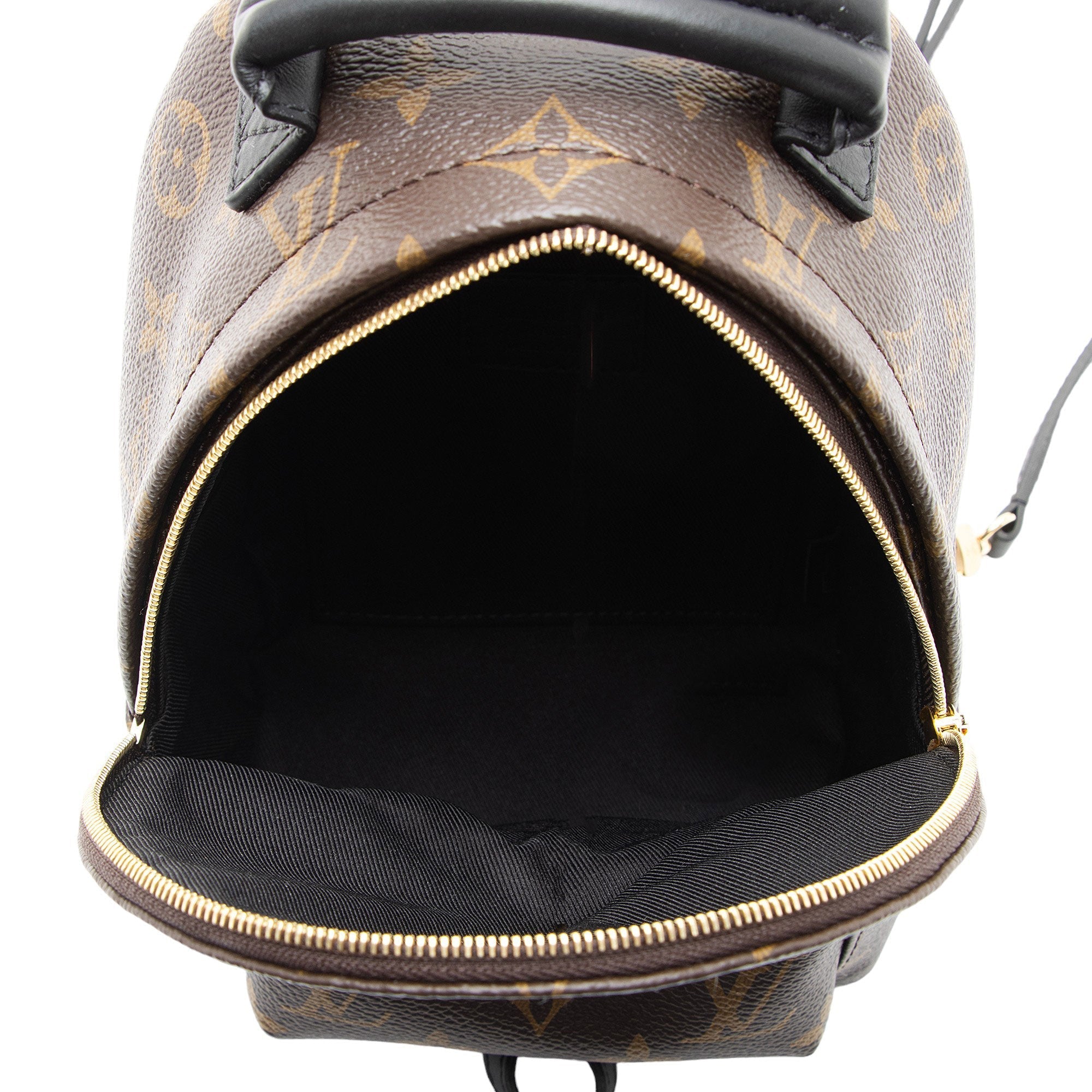 Louis Vuitton Monogram Canvas Palm Springs Mini Backpack (SHF-gAOHZi)