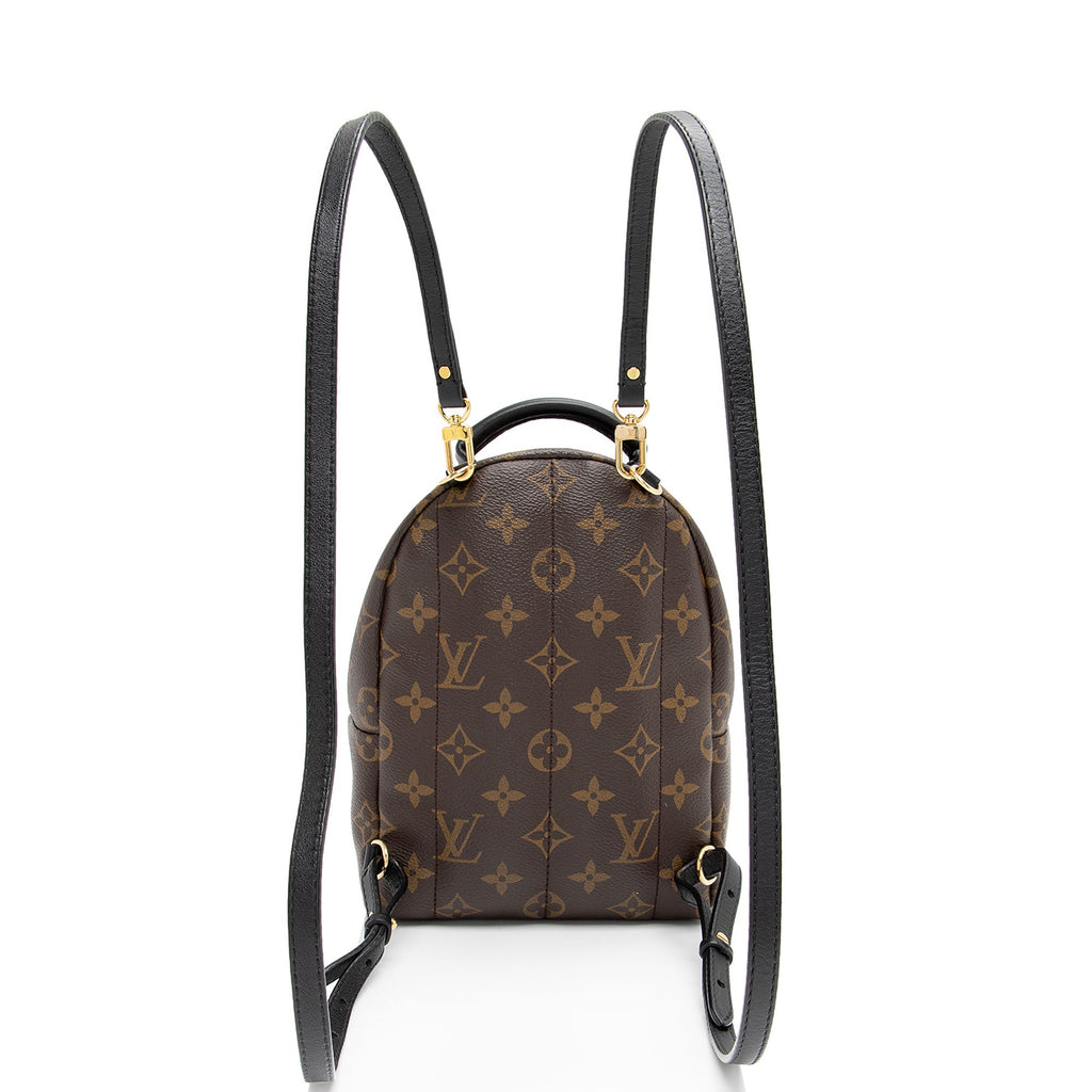 Louis Vuitton Monogram Canvas Palm Springs Mini Backpack (SHF-VmlH0l)