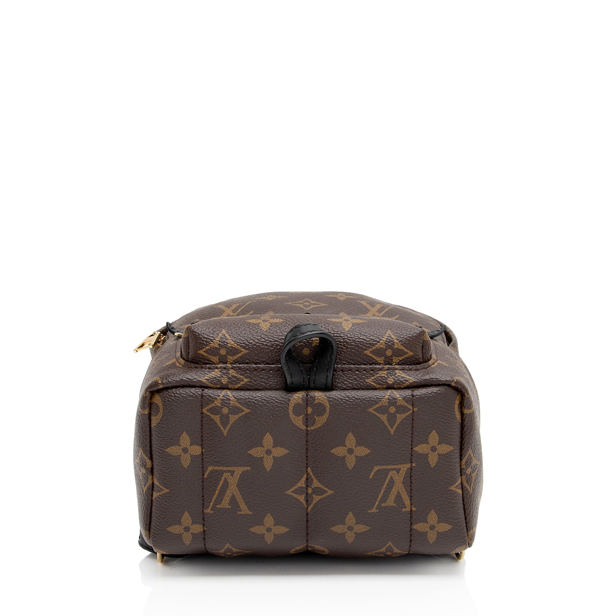 Louis Vuitton Monogram Canvas Palm Springs Mini Backpack (SHF-VmlH0l)