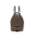 Louis Vuitton Monogram Canvas Palm Springs Mini Backpack (SHF-VmlH0l)
