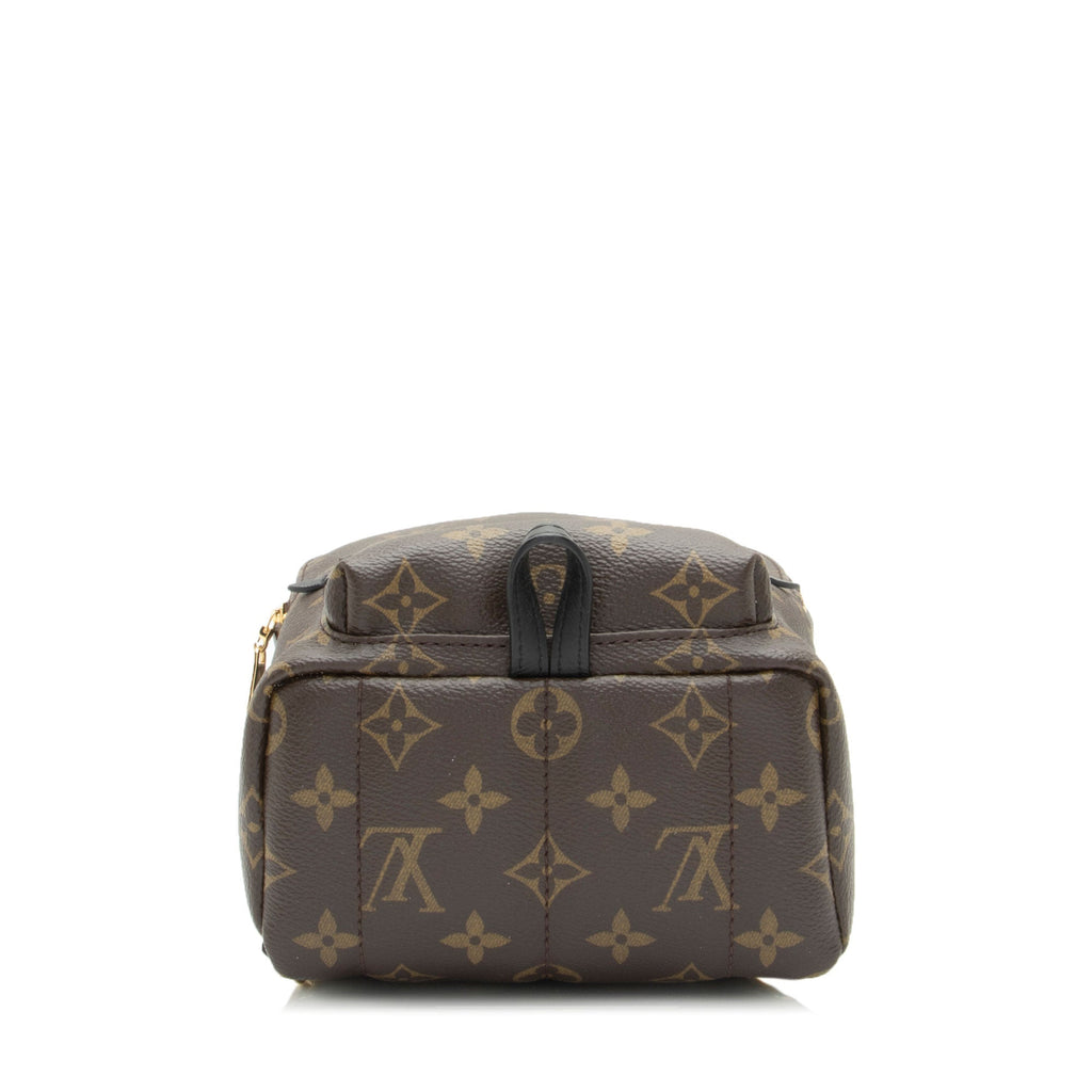 Louis Vuitton Monogram Canvas Palm Springs Mini Backpack (SHF-yT17ls)