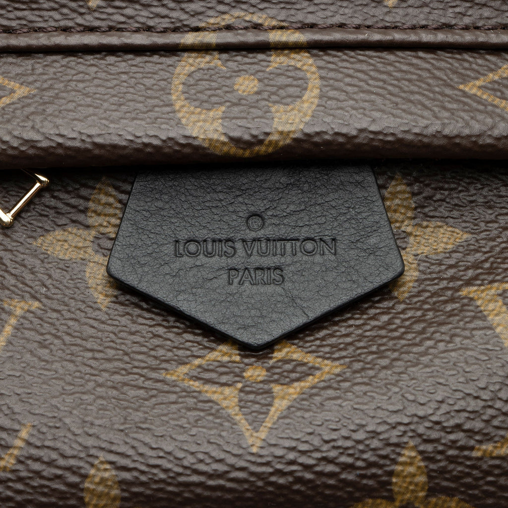Louis Vuitton Monogram Canvas Palm Springs Mini Backpack (SHF-yT17ls)