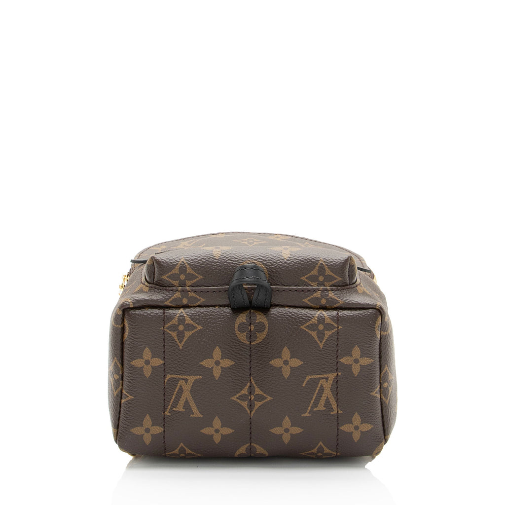 Louis Vuitton Monogram Canvas Palm Springs Mini Backpack (SHF-2LZZkU)