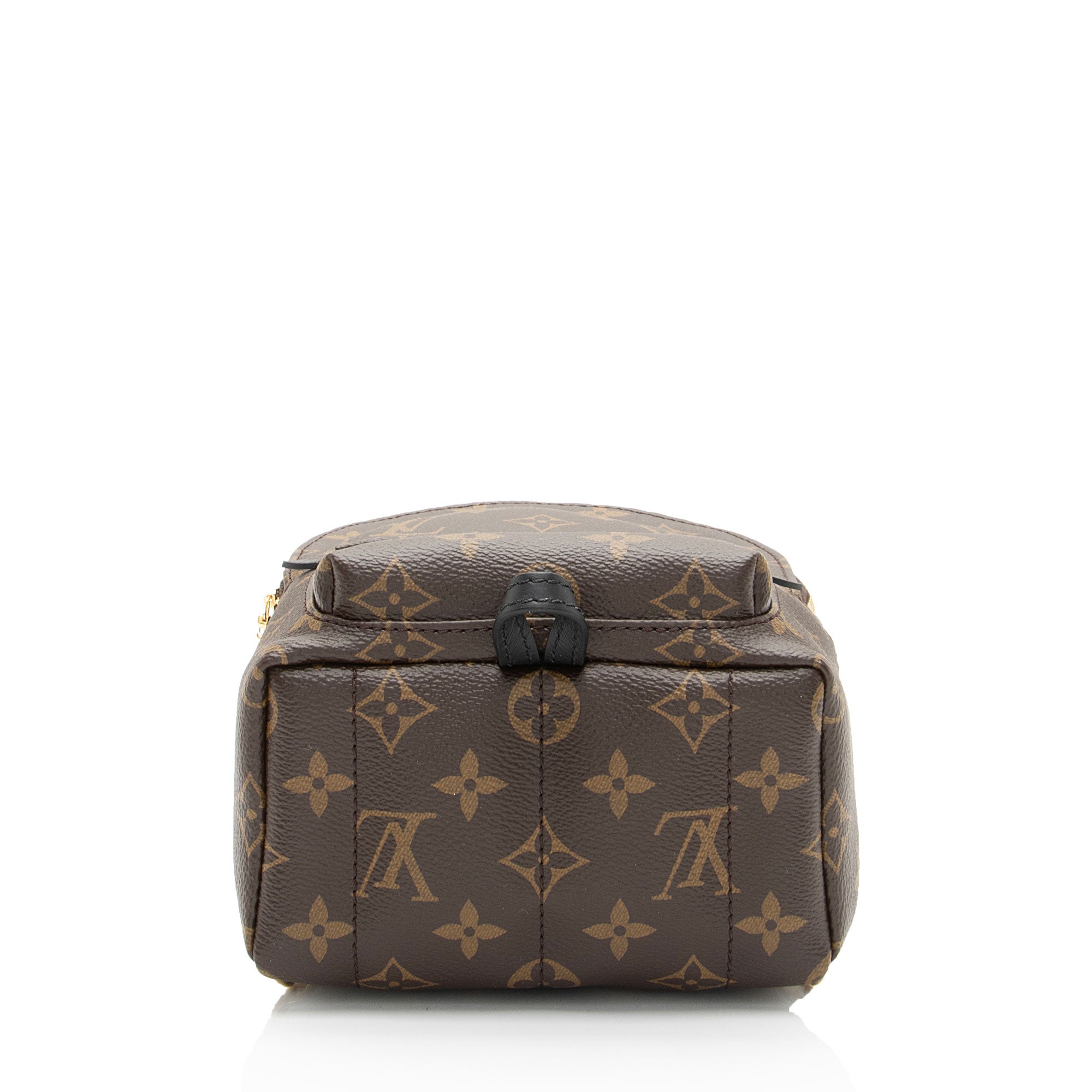 Louis Vuitton Monogram Canvas Palm Springs Mini Backpack (SHF-2LZZkU)