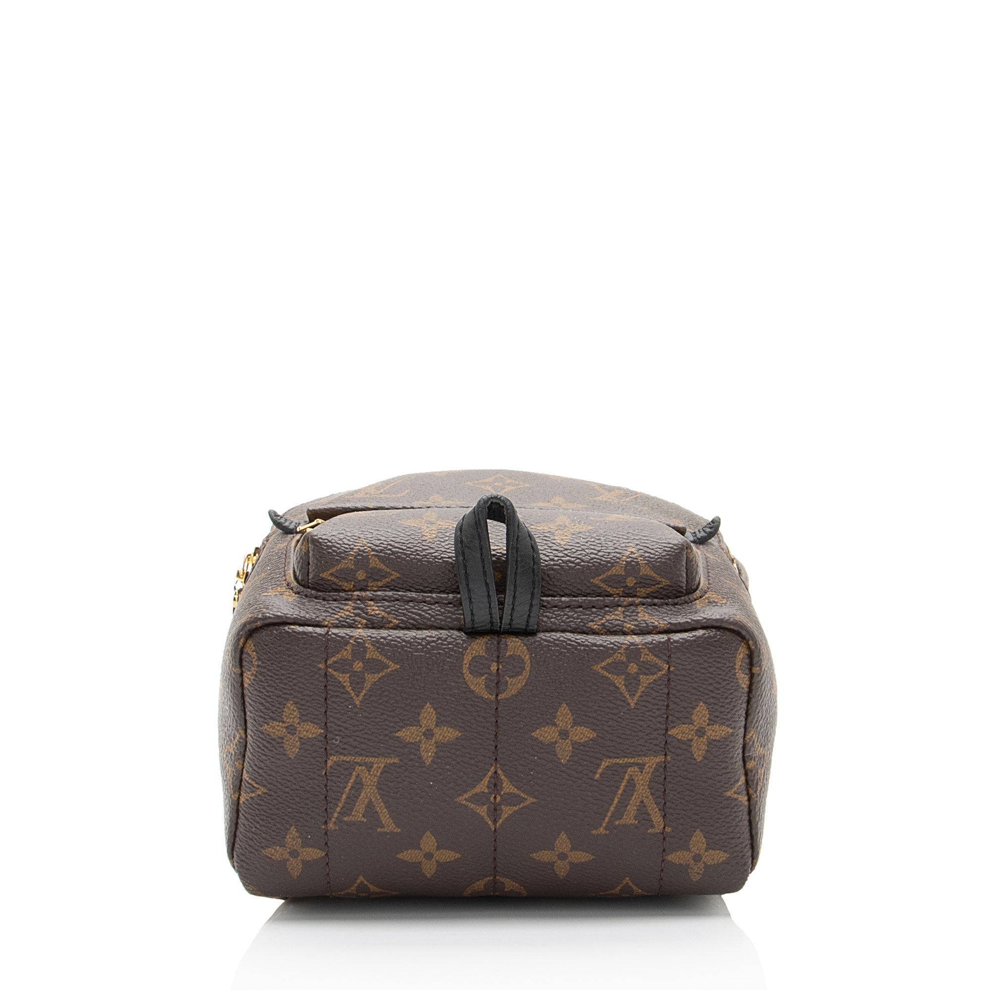 Louis Vuitton Monogram Canvas Palm Springs Mini Backpack (SHF-PpoCsf)