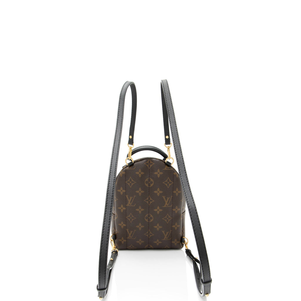 Louis Vuitton Monogram Canvas Palm Springs Mini Backpack