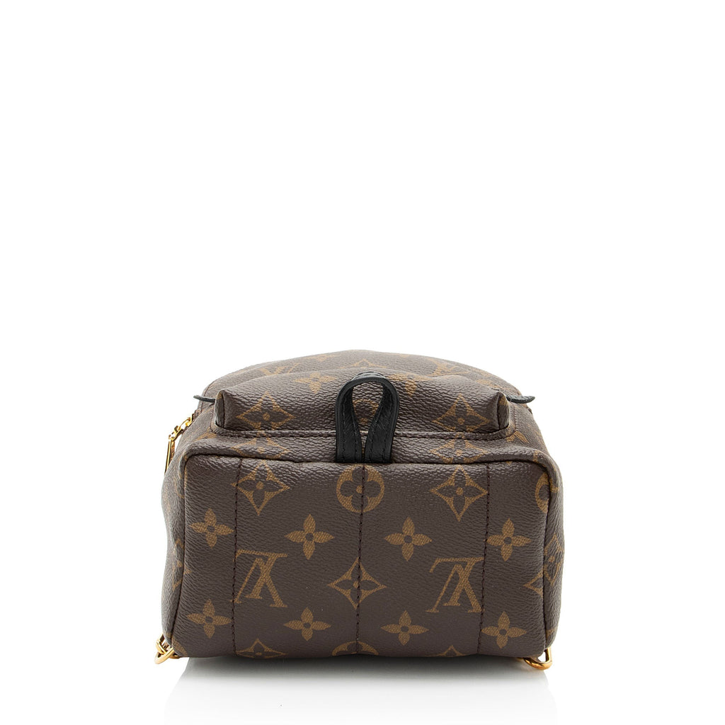 Louis Vuitton Monogram Canvas Palm Springs Mini Backpack