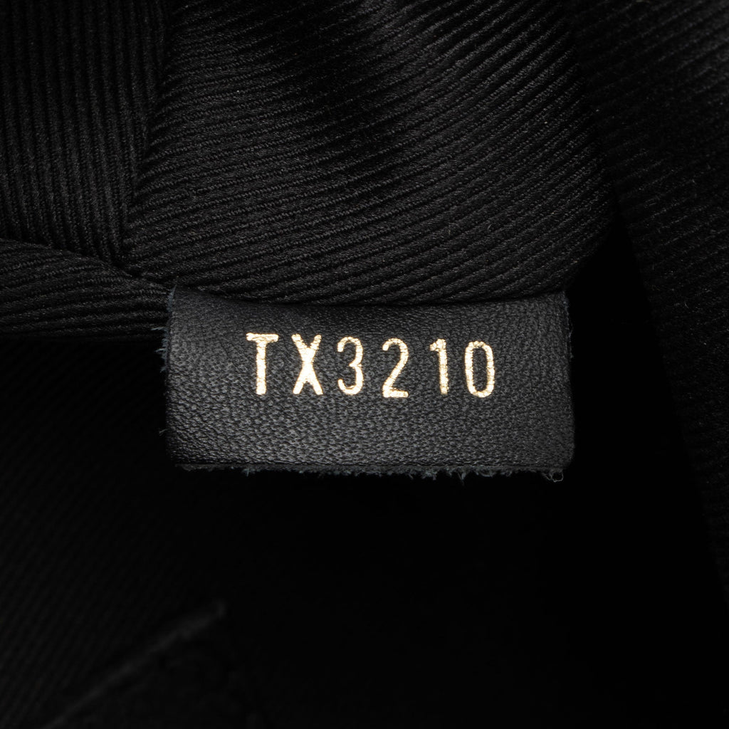 Louis Vuitton Monogram Canvas Palm Springs Mini Backpack