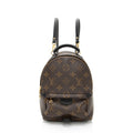 Louis Vuitton Monogram Canvas Palm Springs Mini Backpack