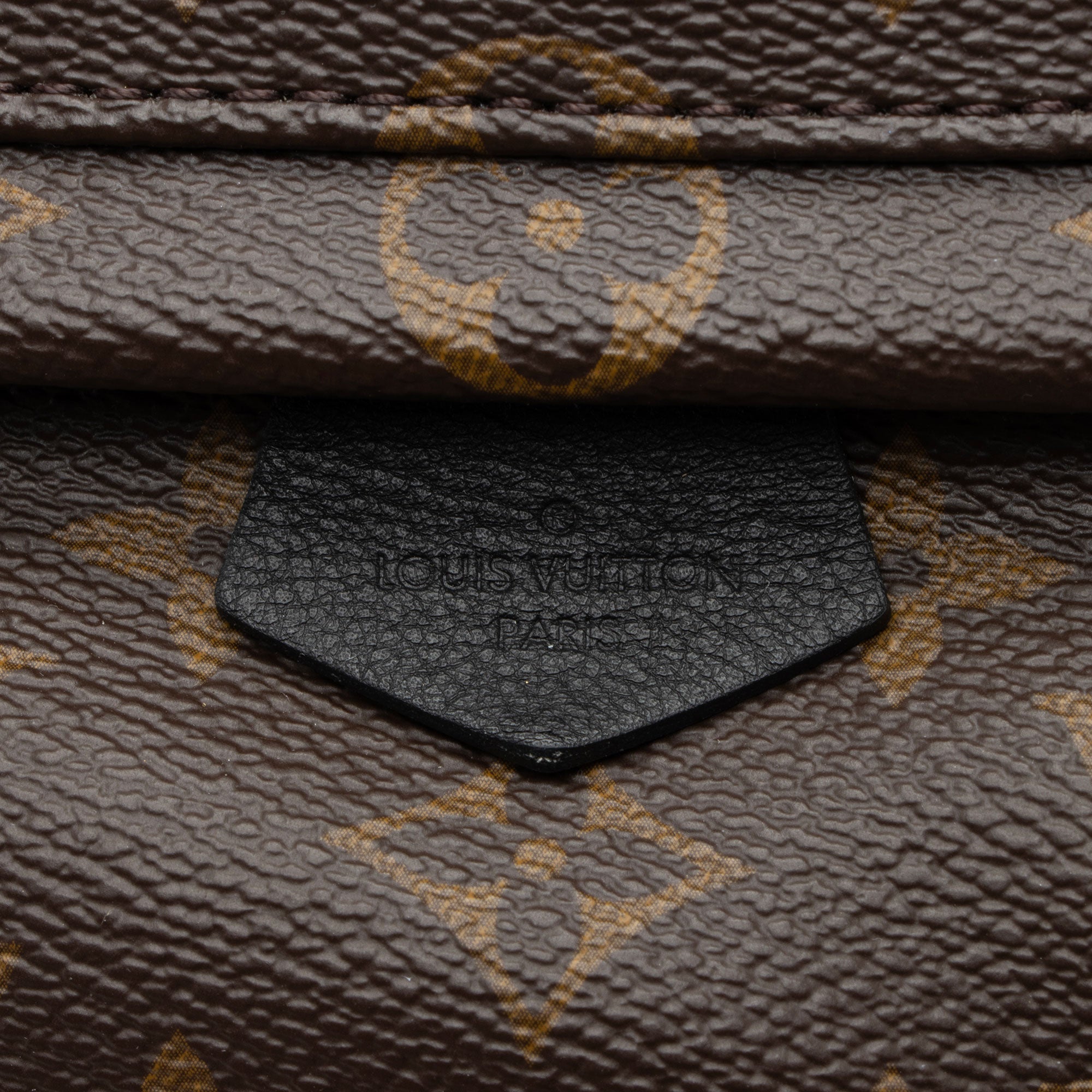 Louis Vuitton Monogram Canvas Palm Springs Mini Backpack