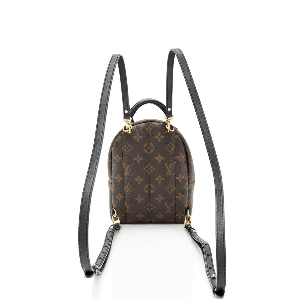 Louis Vuitton Monogram Canvas Palm Springs Mini Backpack