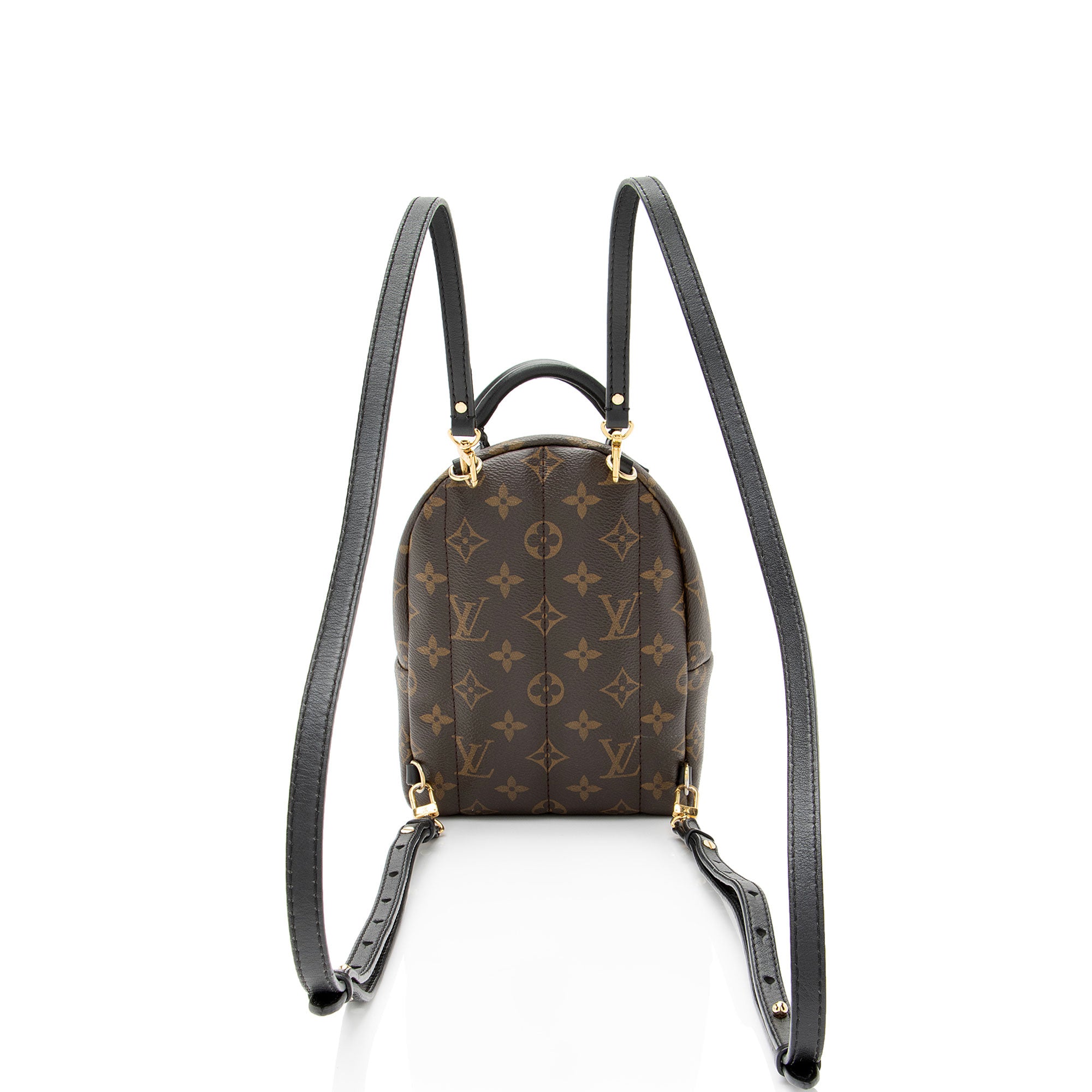Louis Vuitton Monogram Canvas Palm Springs Mini Backpack