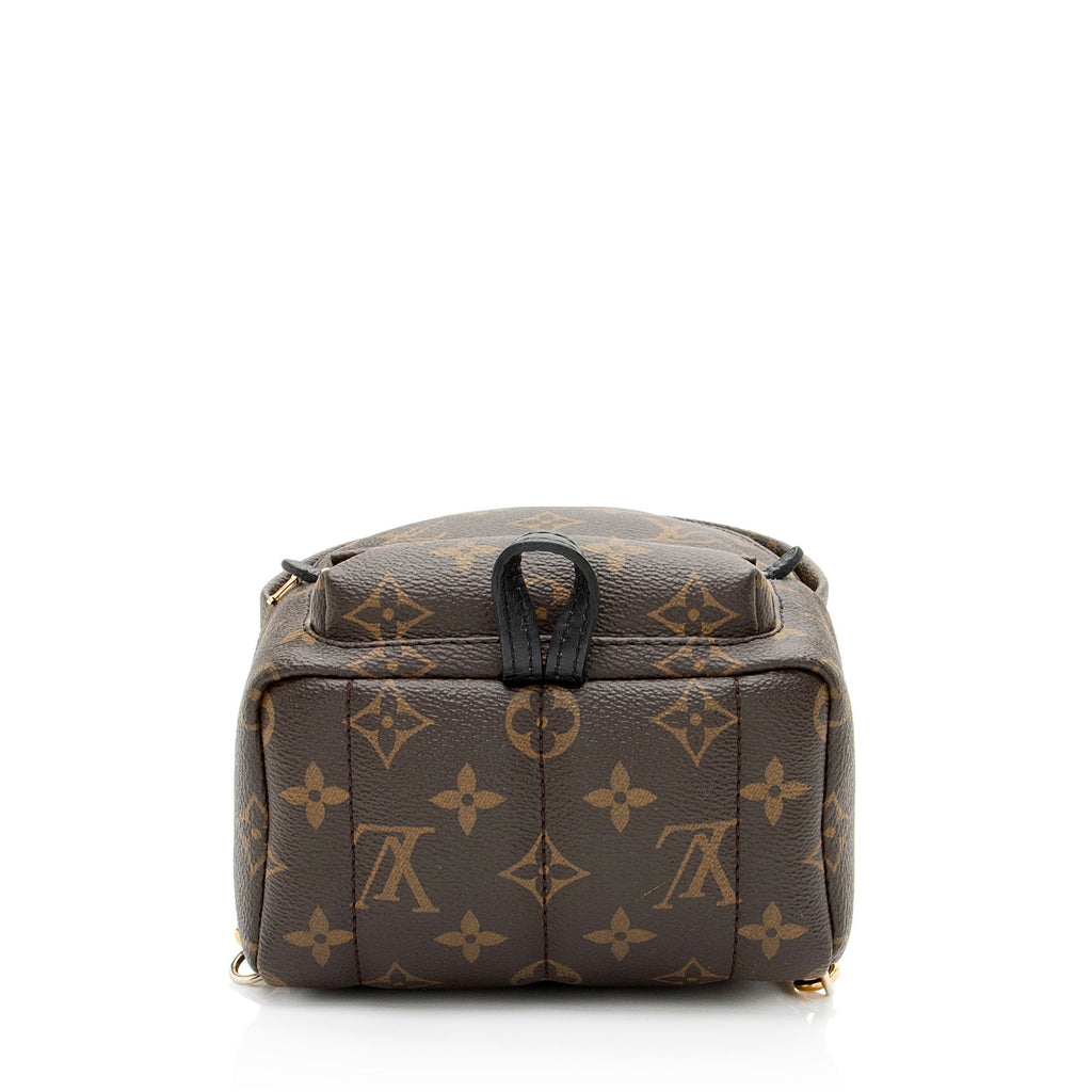 Louis Vuitton Monogram Canvas Palm Springs Mini Backpack