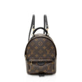 Louis Vuitton Monogram Canvas Palm Springs Mini Backpack