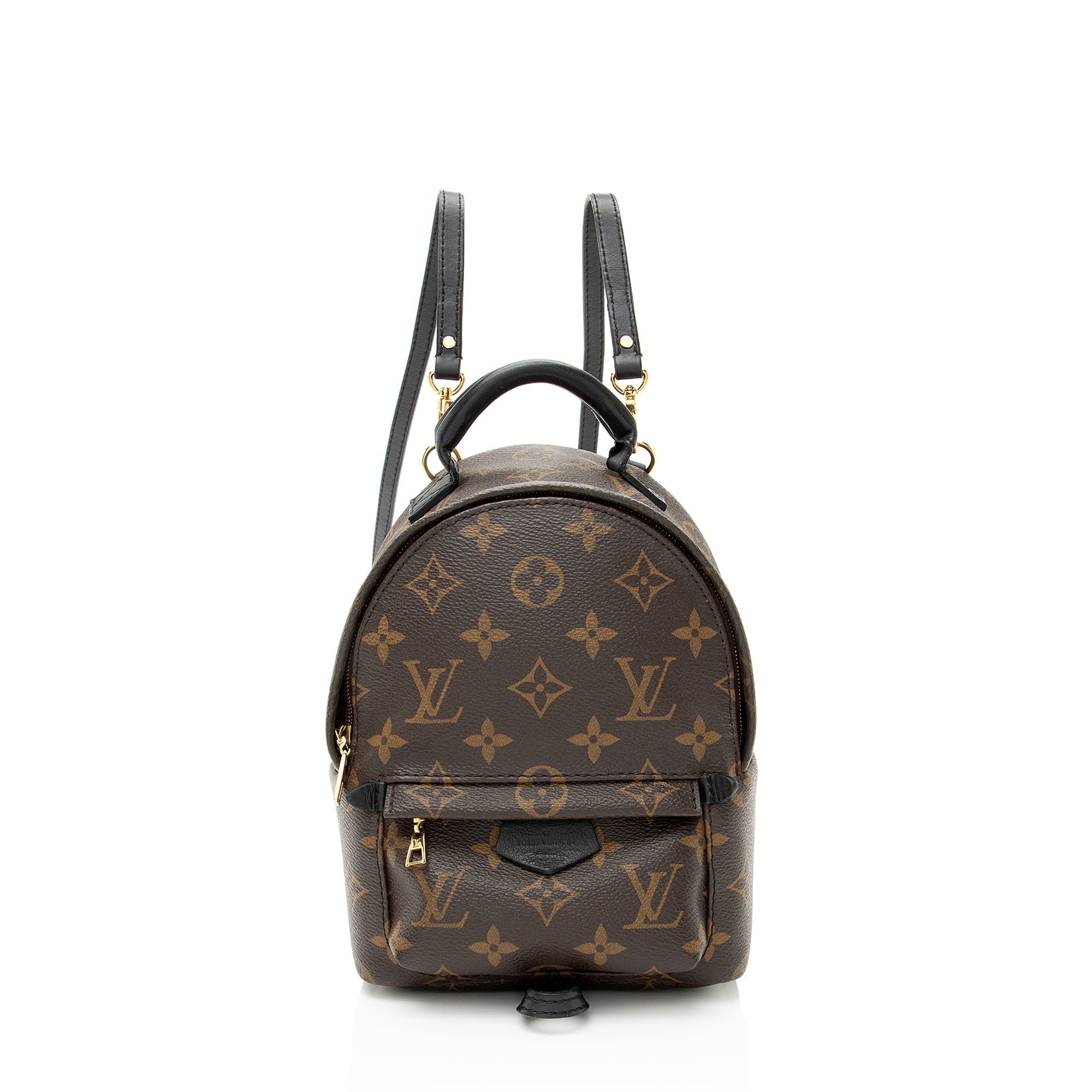 Louis Vuitton Monogram Canvas Palm Springs Mini Backpack