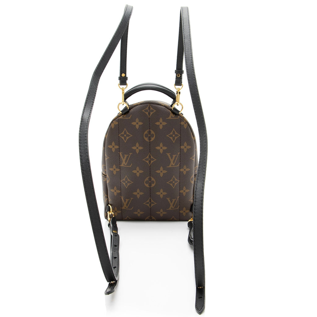 Louis Vuitton Monogram Canvas Palm Springs Mini Backpack