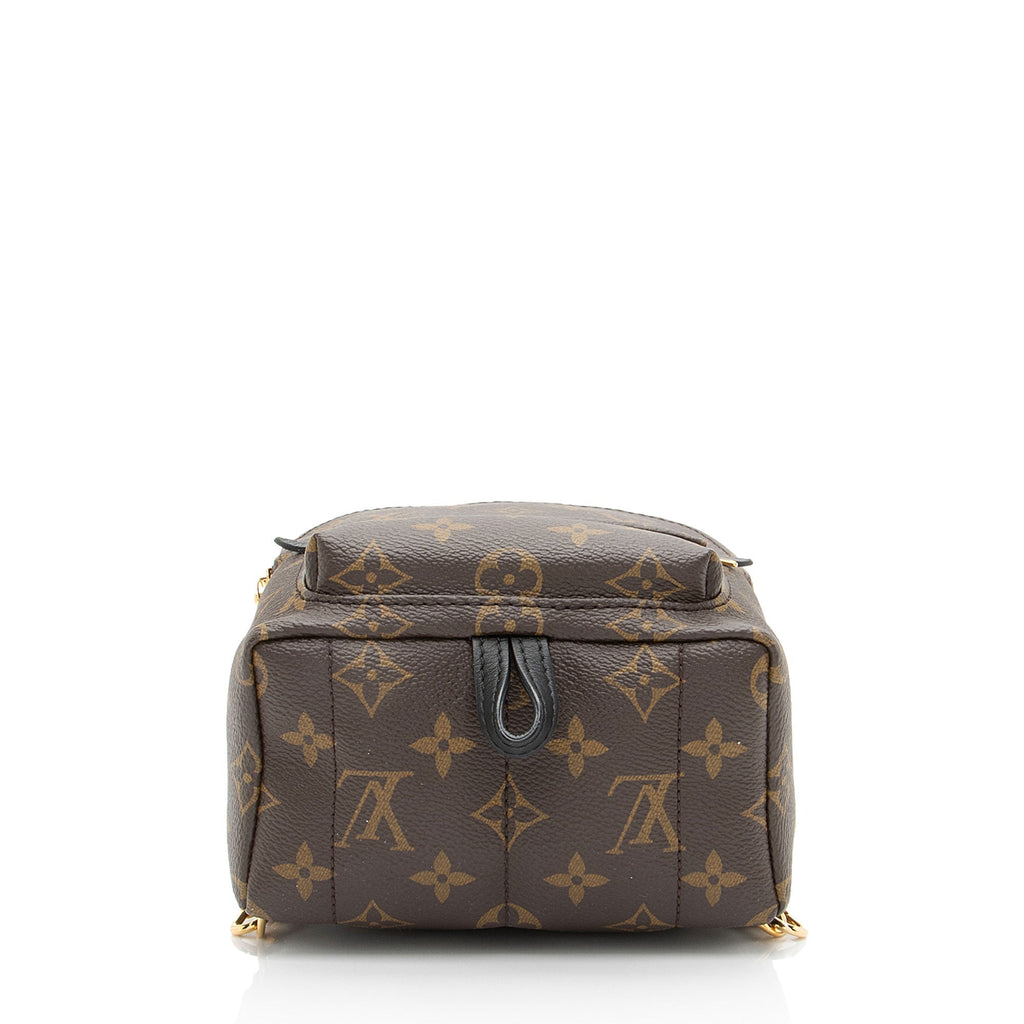 Louis Vuitton Monogram Canvas Palm Springs Mini Backpack
