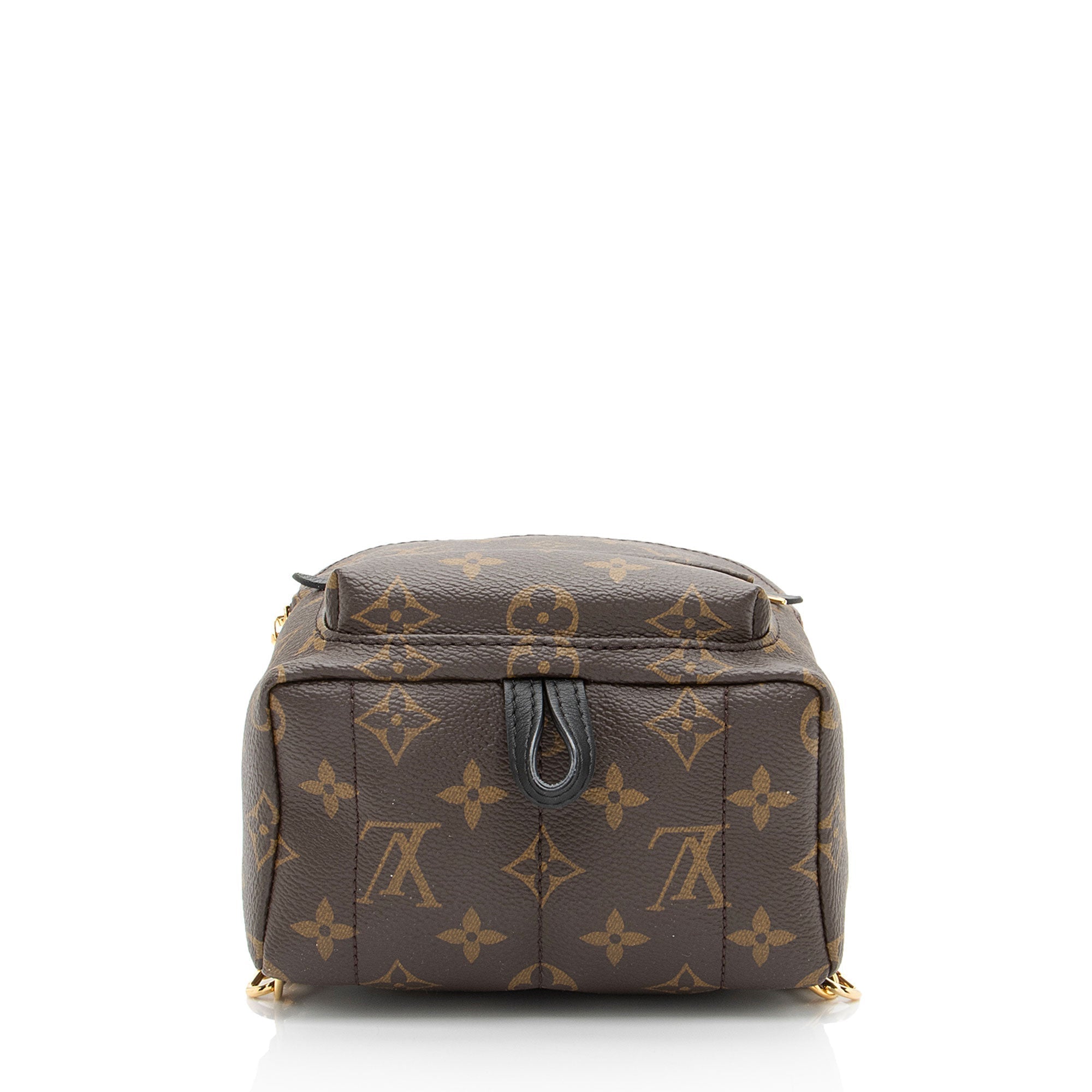Louis Vuitton Monogram Canvas Palm Springs Mini Backpack