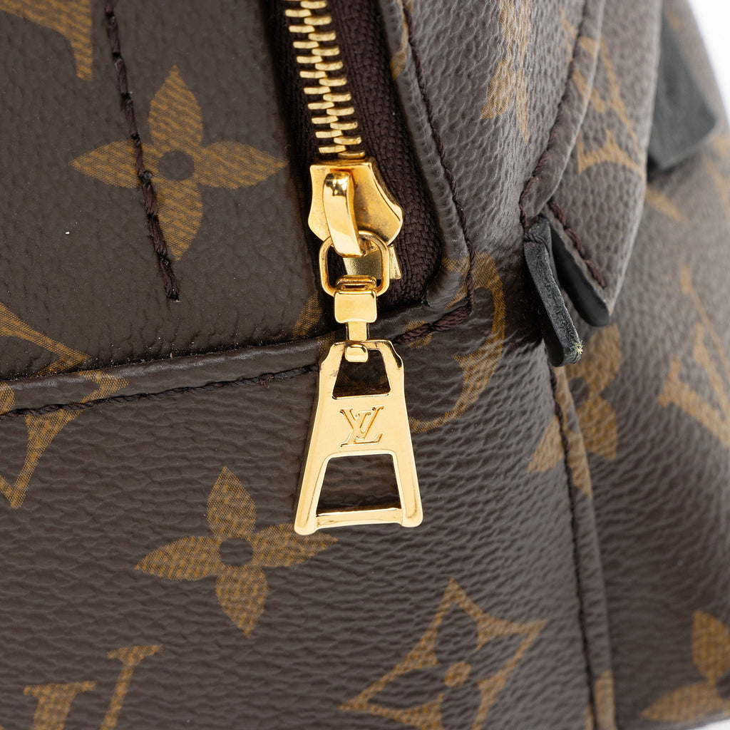 Louis Vuitton Monogram Canvas Palm Springs Mini Backpack