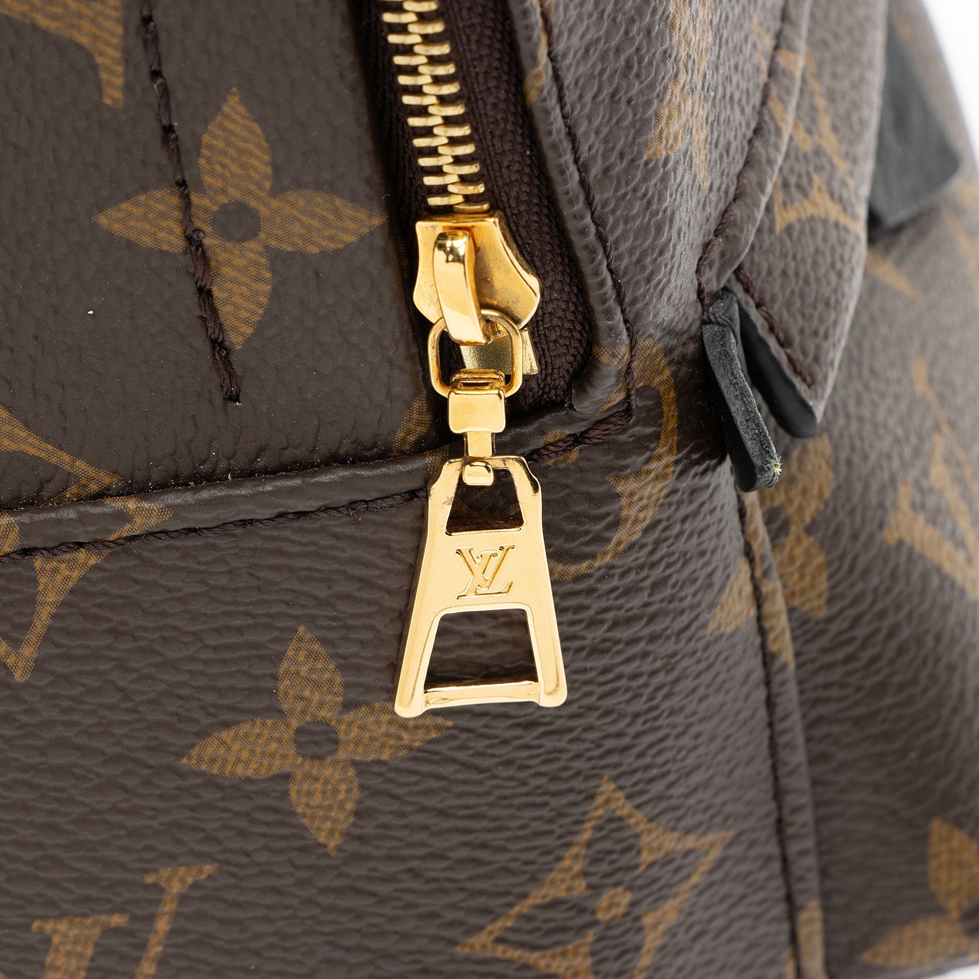 Louis Vuitton Monogram Canvas Palm Springs Mini Backpack