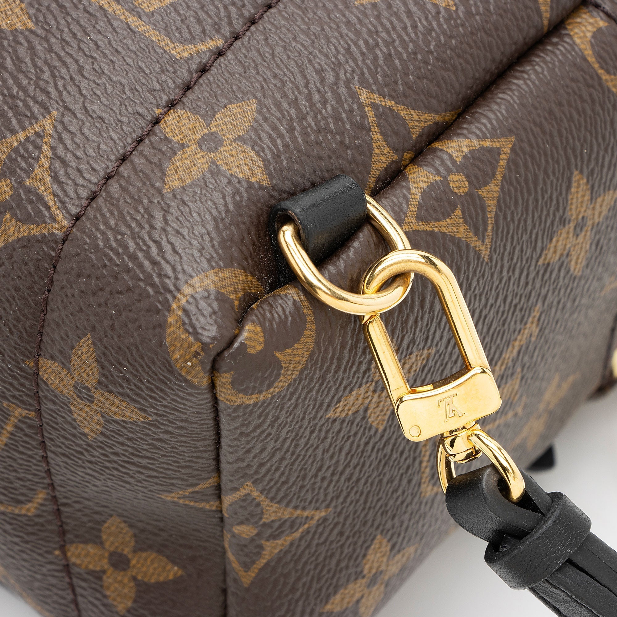Louis Vuitton Monogram Canvas Palm Springs Mini Backpack