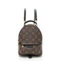 Louis Vuitton Monogram Canvas Palm Springs Mini Backpack