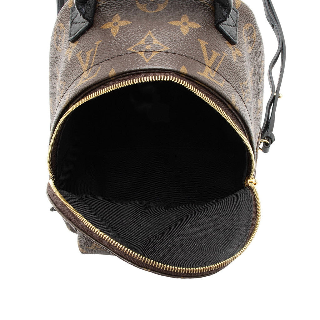 Louis Vuitton Monogram Canvas Palm Springs Mini Backpack