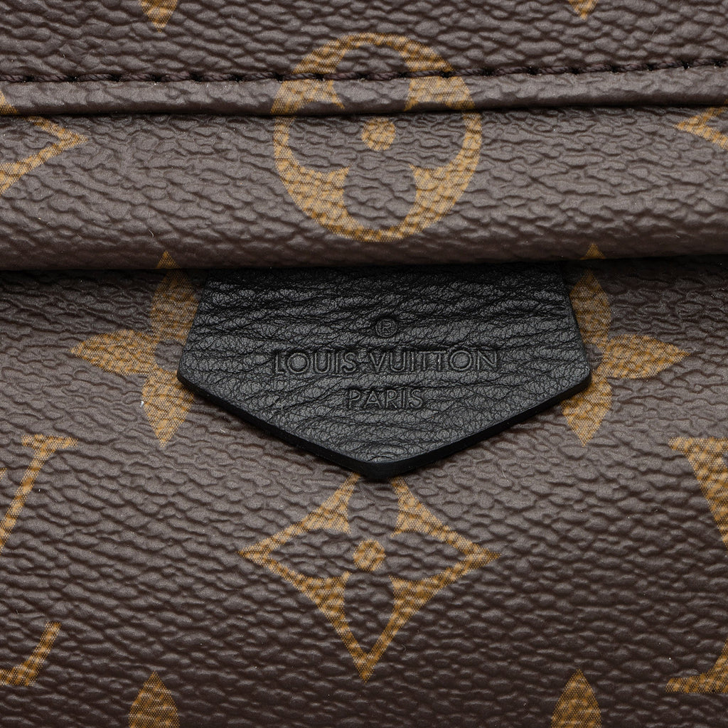 Louis Vuitton Monogram Canvas Palm Springs Mini Backpack