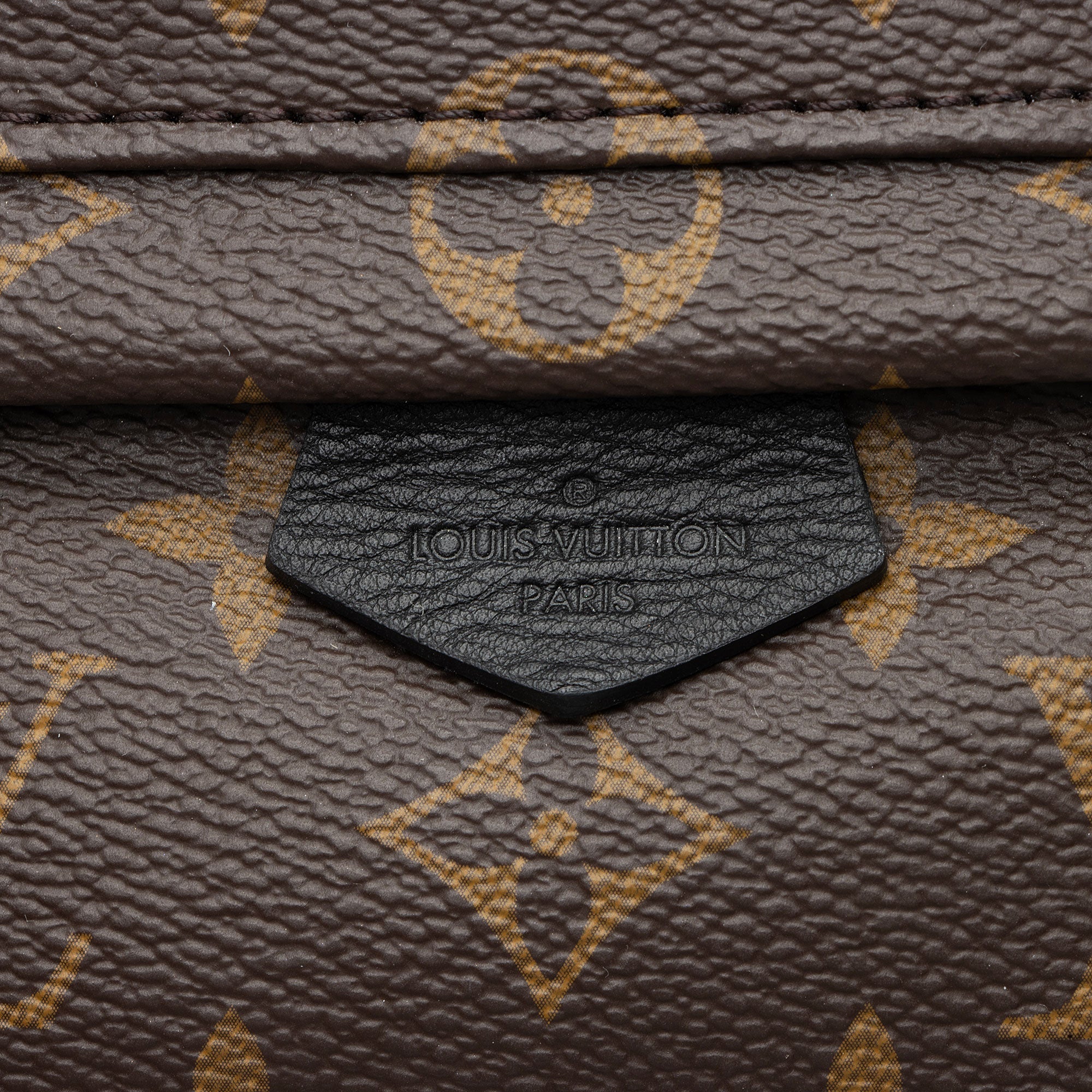Louis Vuitton Monogram Canvas Palm Springs Mini Backpack