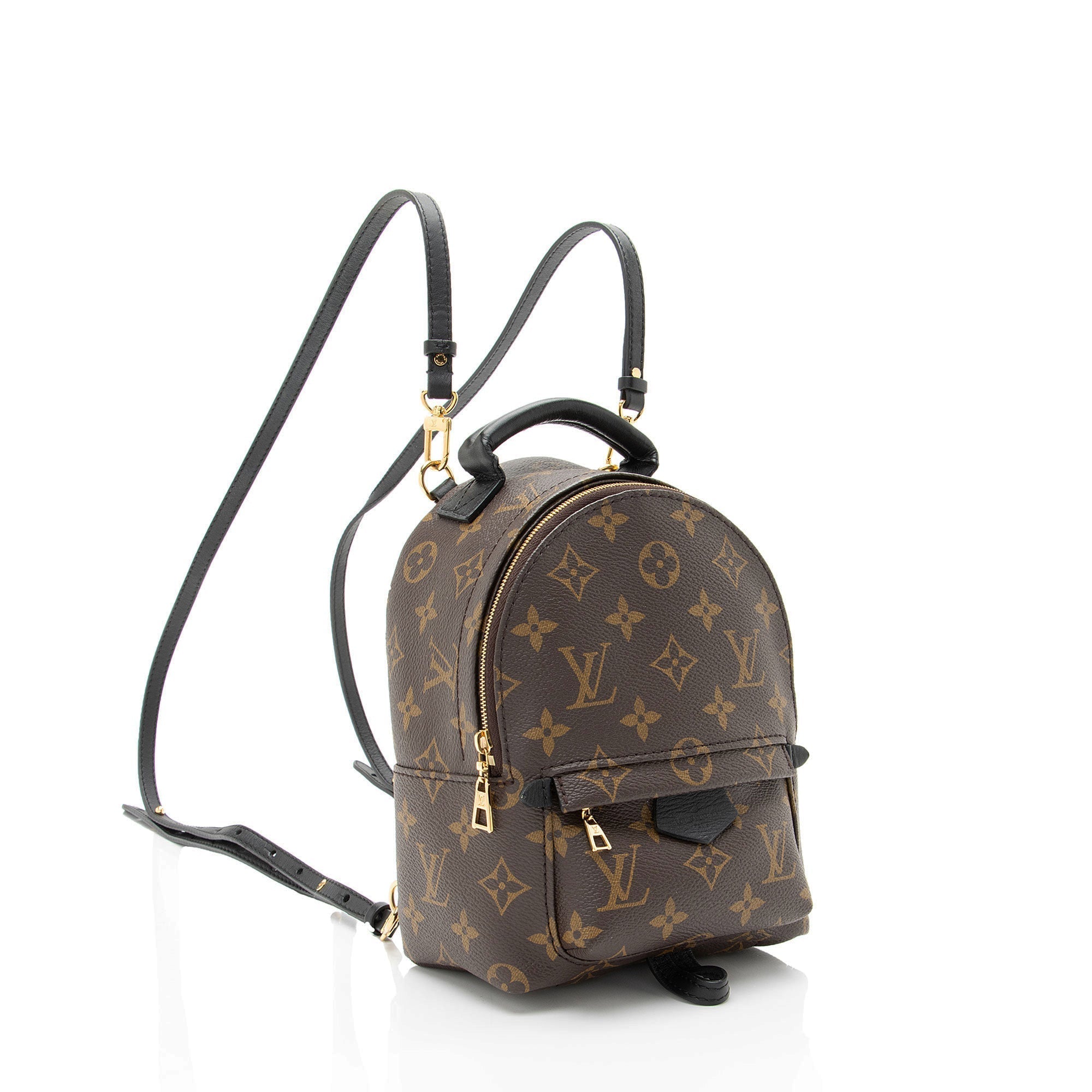 Louis Vuitton Monogram Canvas Palm Springs Mini Backpack