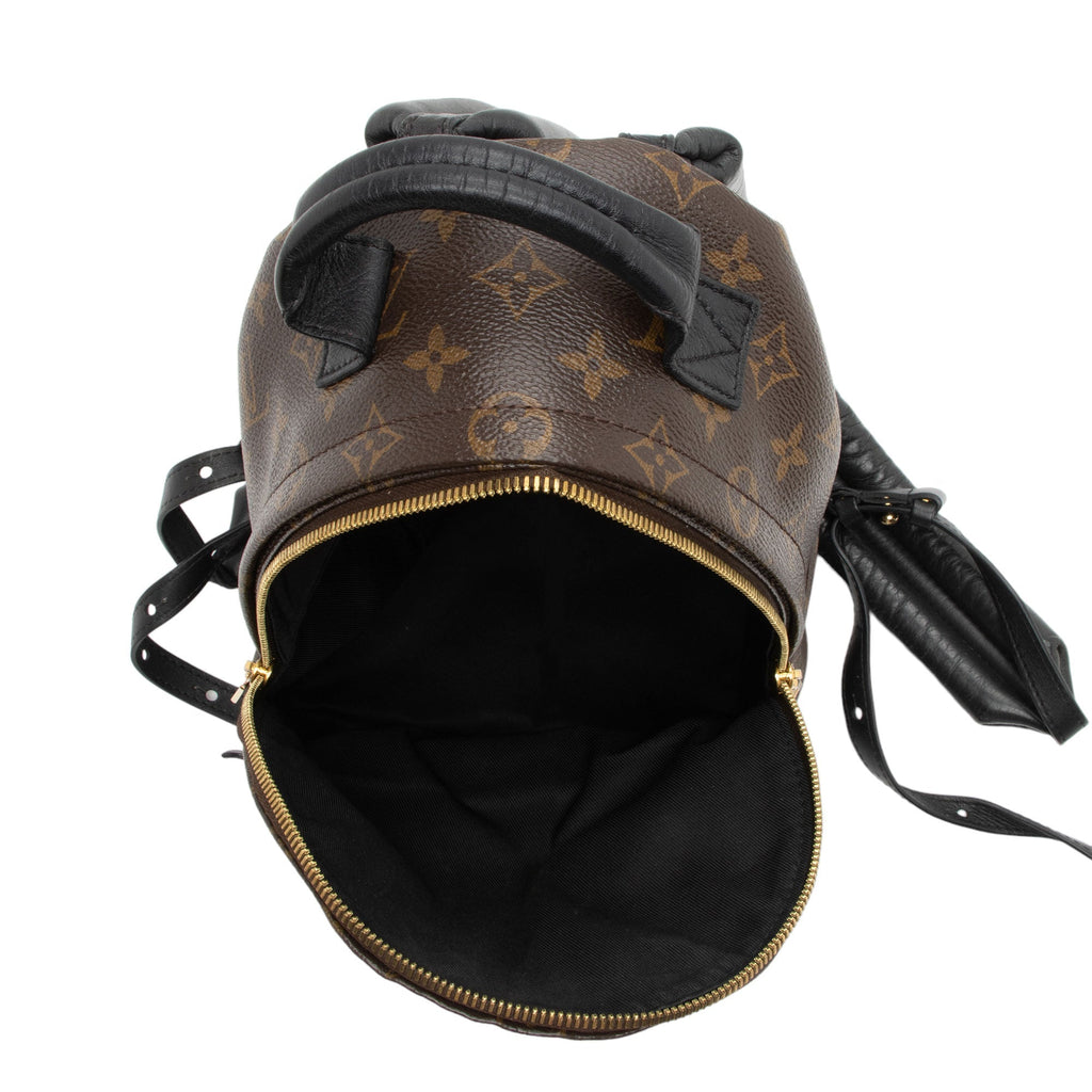 Louis Vuitton Monogram Canvas Palm Springs PM Backpack (SHF-4Fix8f)
