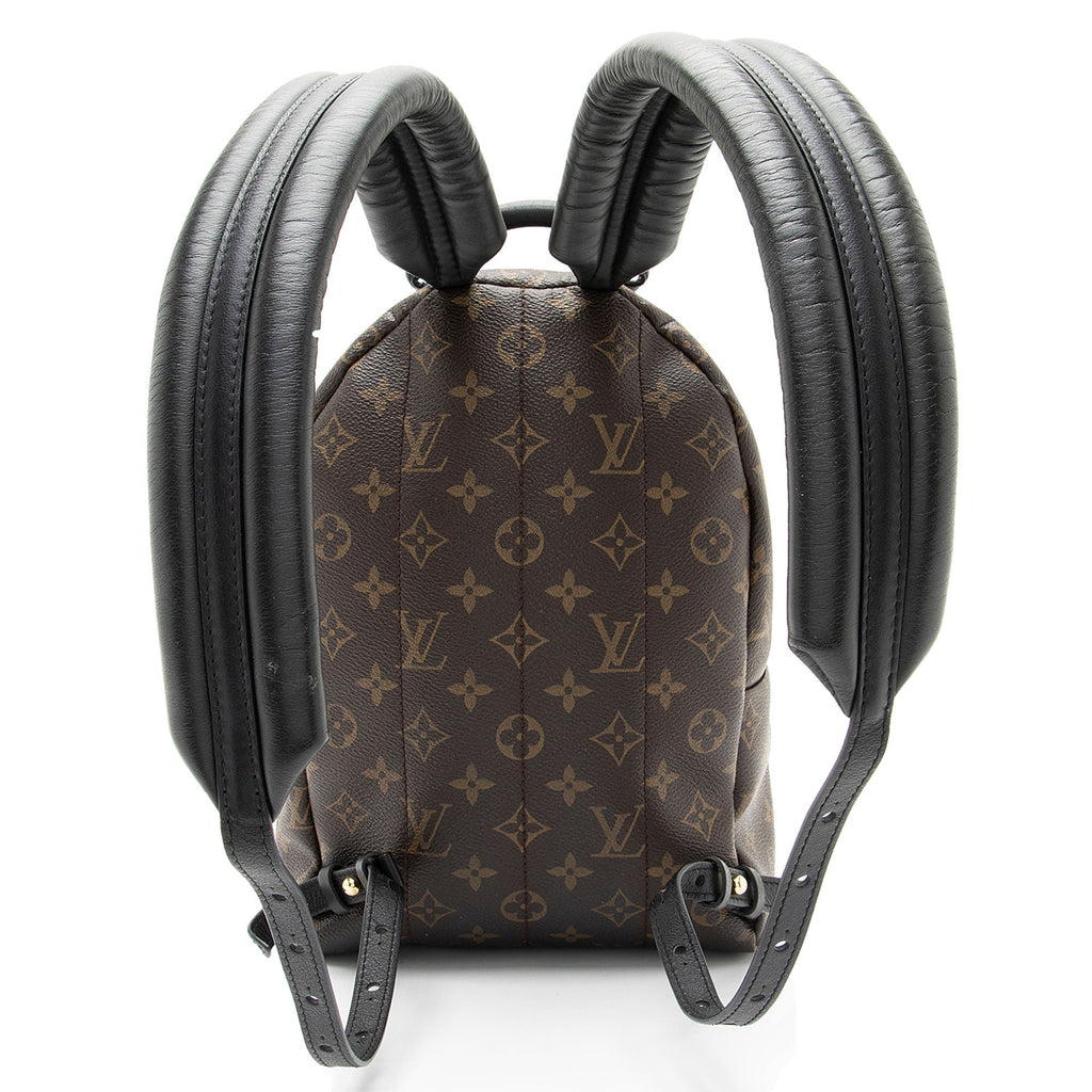 Louis Vuitton Monogram Canvas Palm Springs PM Backpack (SHF-pkKSUu)
