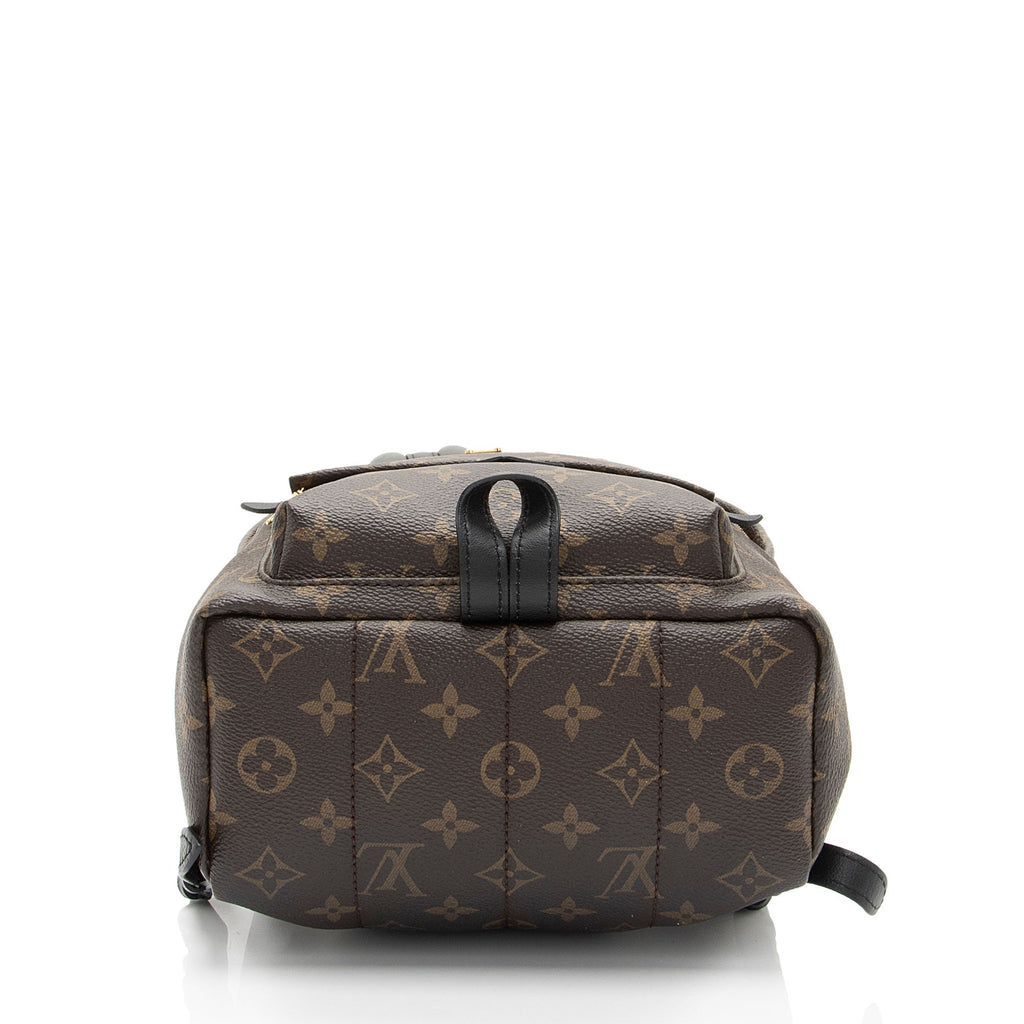 Louis Vuitton Monogram Canvas Palm Springs PM Backpack (SHF-pkKSUu)