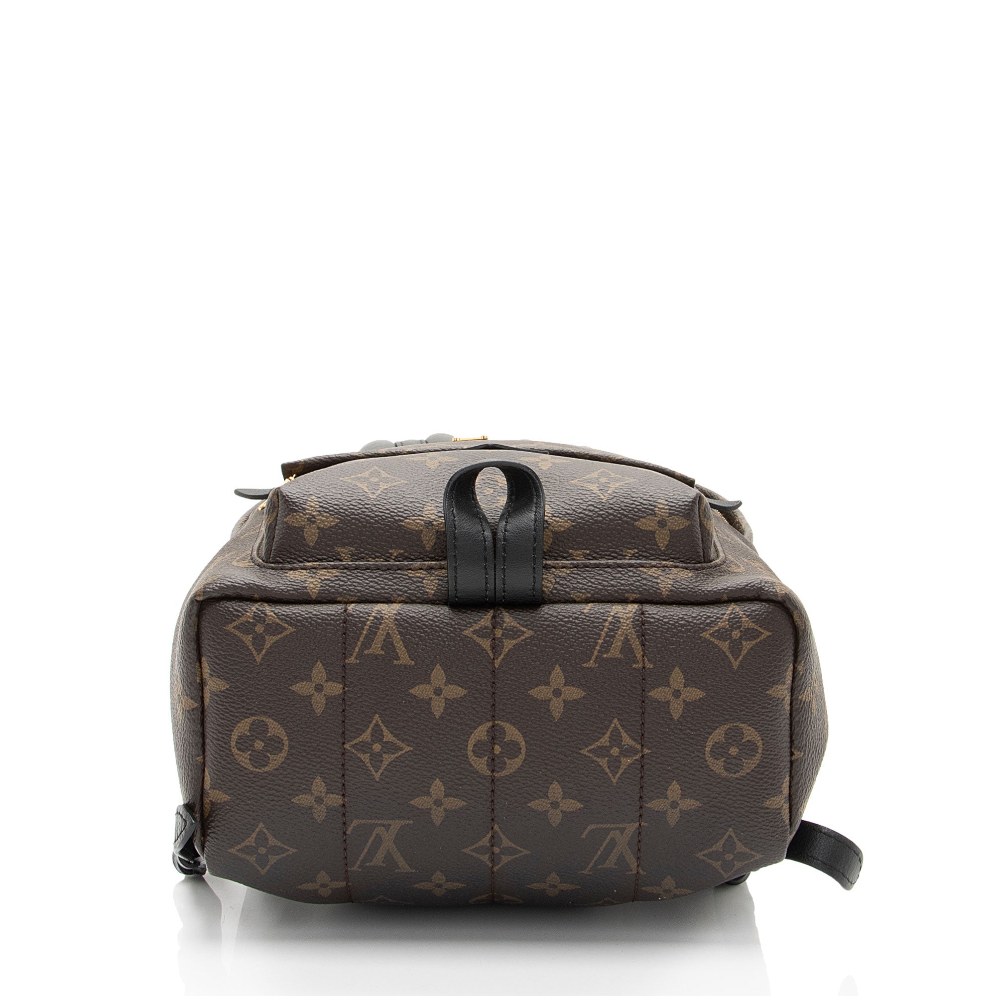 Louis Vuitton Monogram Canvas Palm Springs PM Backpack (SHF-pkKSUu)